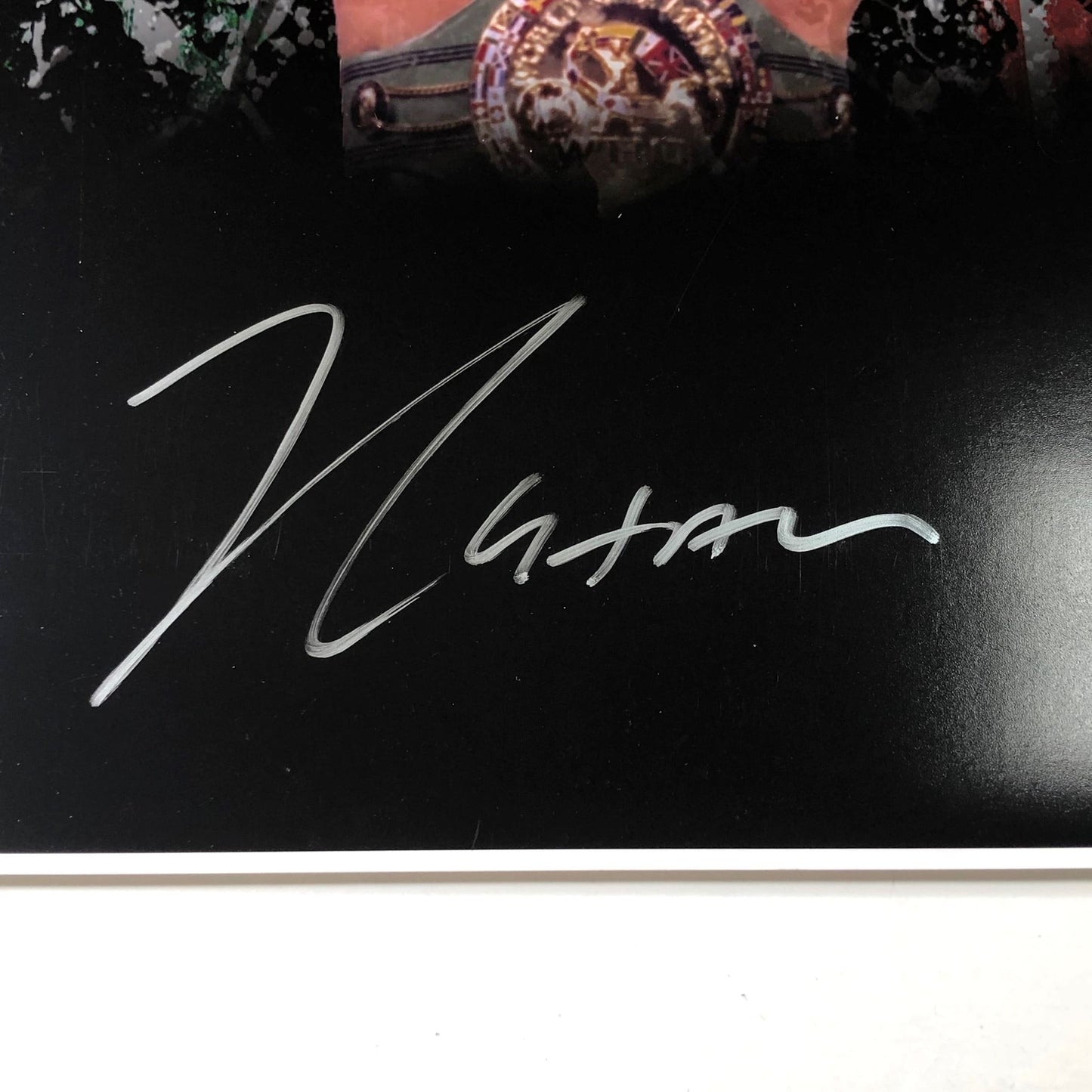 Julio Cesar Chavez signed 16x20 photo JSA Boxer Autographed