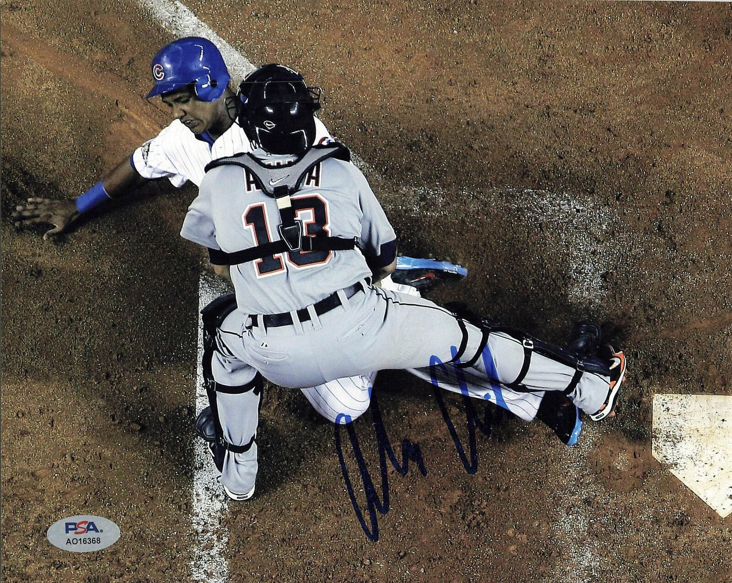 Alex Avila signed 8x10 photo PSA/DNA Detroit Tigers Autographed