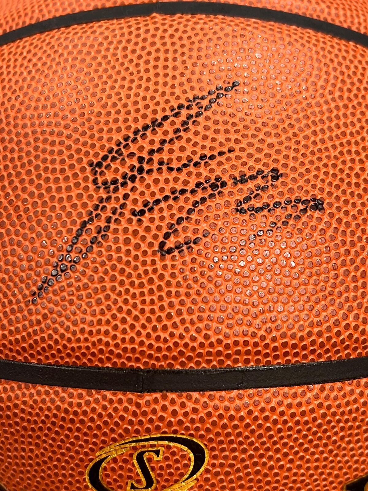 Fred VanVleet Signed Basketball PSA/DNA Toronto Raptors Autographed