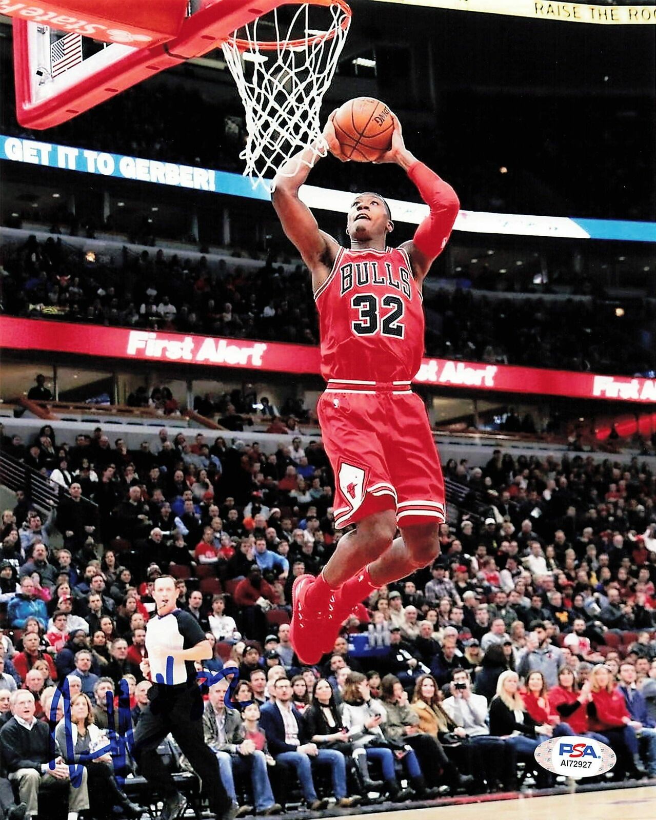 KRIS DUNN signed 8x10 photo PSA/DNA Chicago Bulls Autographed