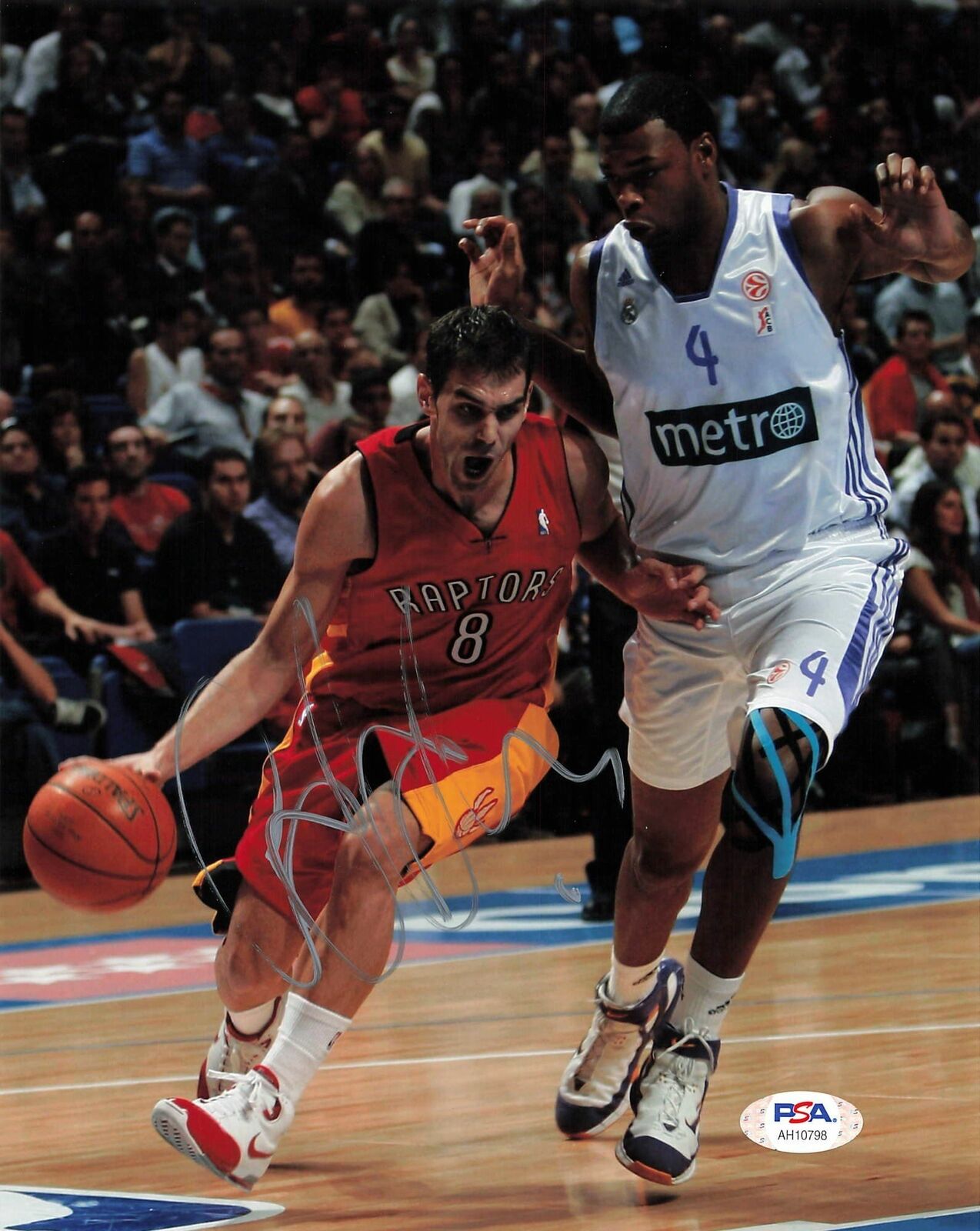 Jose Calderon signed 8x10 photo PSA/DNA Toronto Raptors Autographed