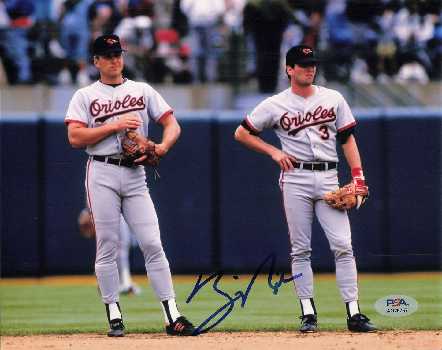 Billy Ripken signed 8x10 photo PSA/DNA Baltimore Orioles