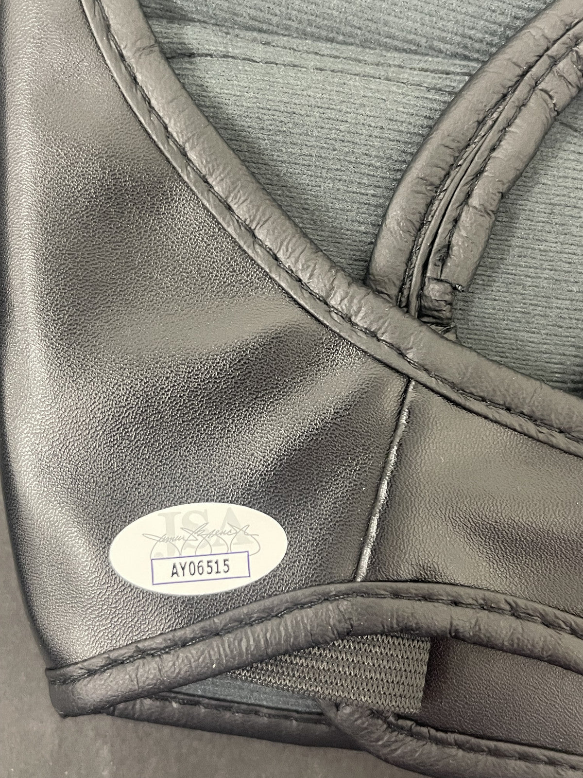 Michael Chandler UFC Signed Wrestling Glove