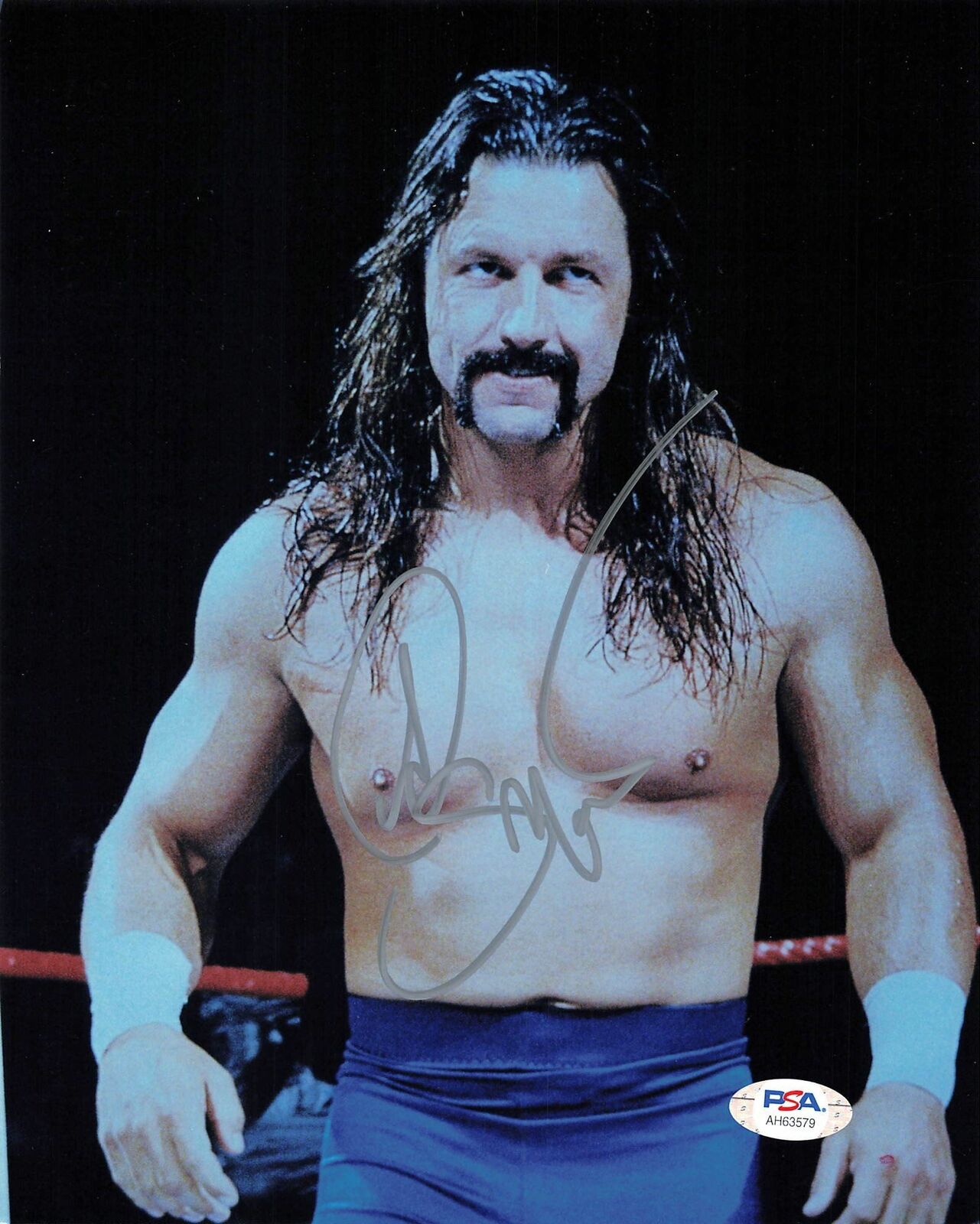 Al Snow signed 8x10 photo PSA/DNA COA WWE Autographed Wrestling