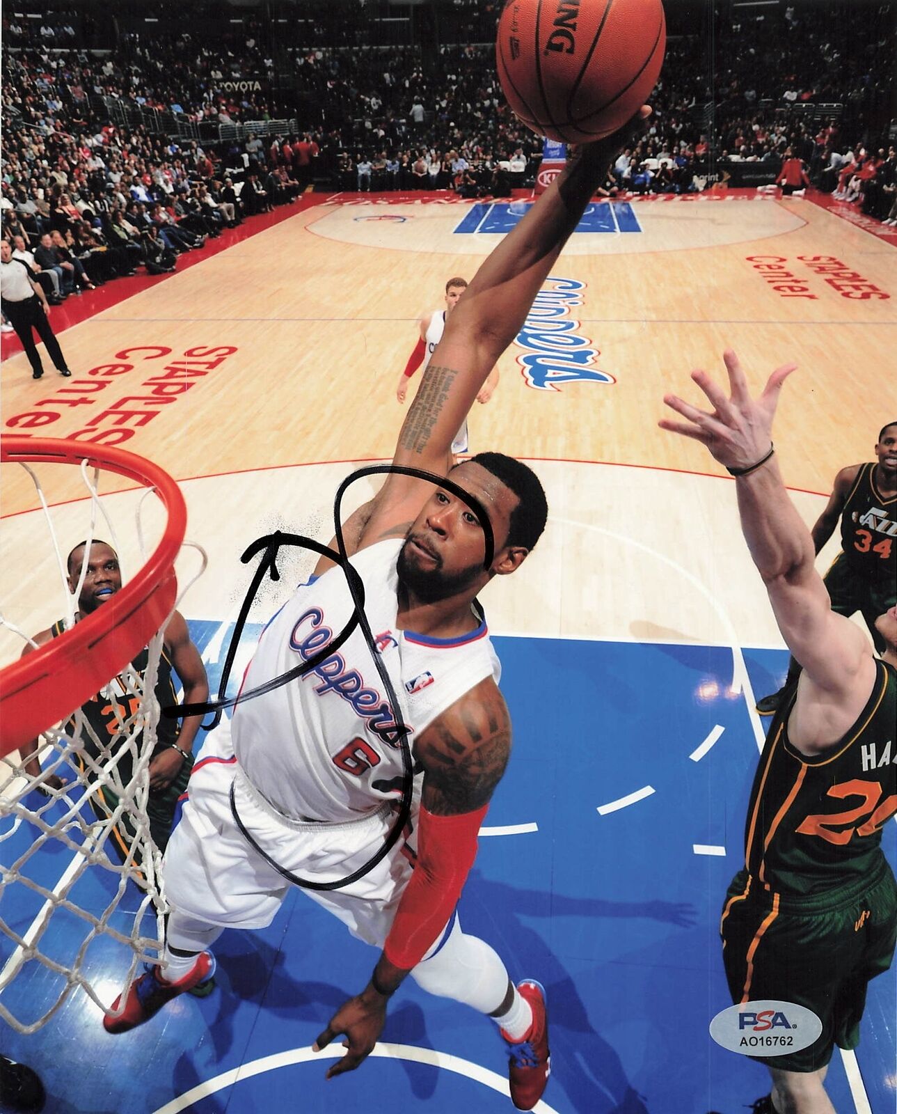 DeAndre Jordan 8x10 photo PSA/DNA Los Angeles Clippers Autographed