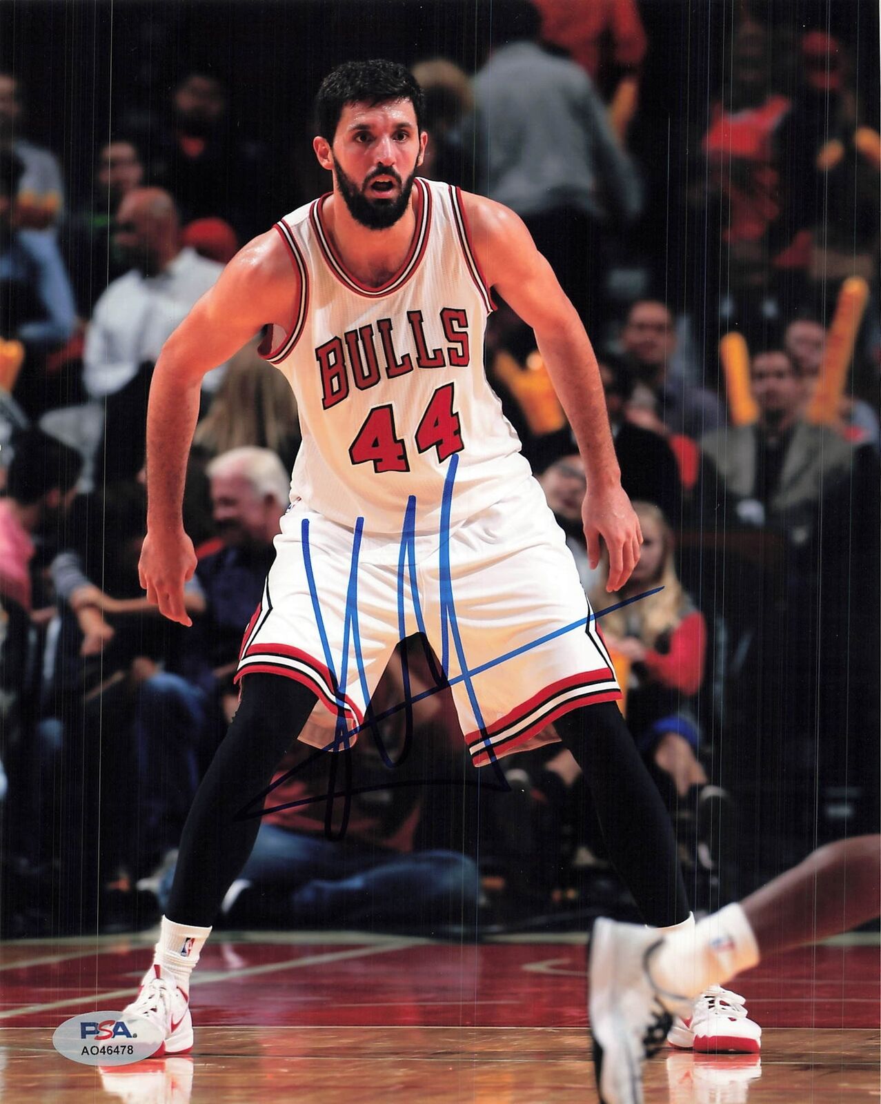 Nikola Mirotic signed 8x10 photo PSA/DNA Chicago Bulls Autographed