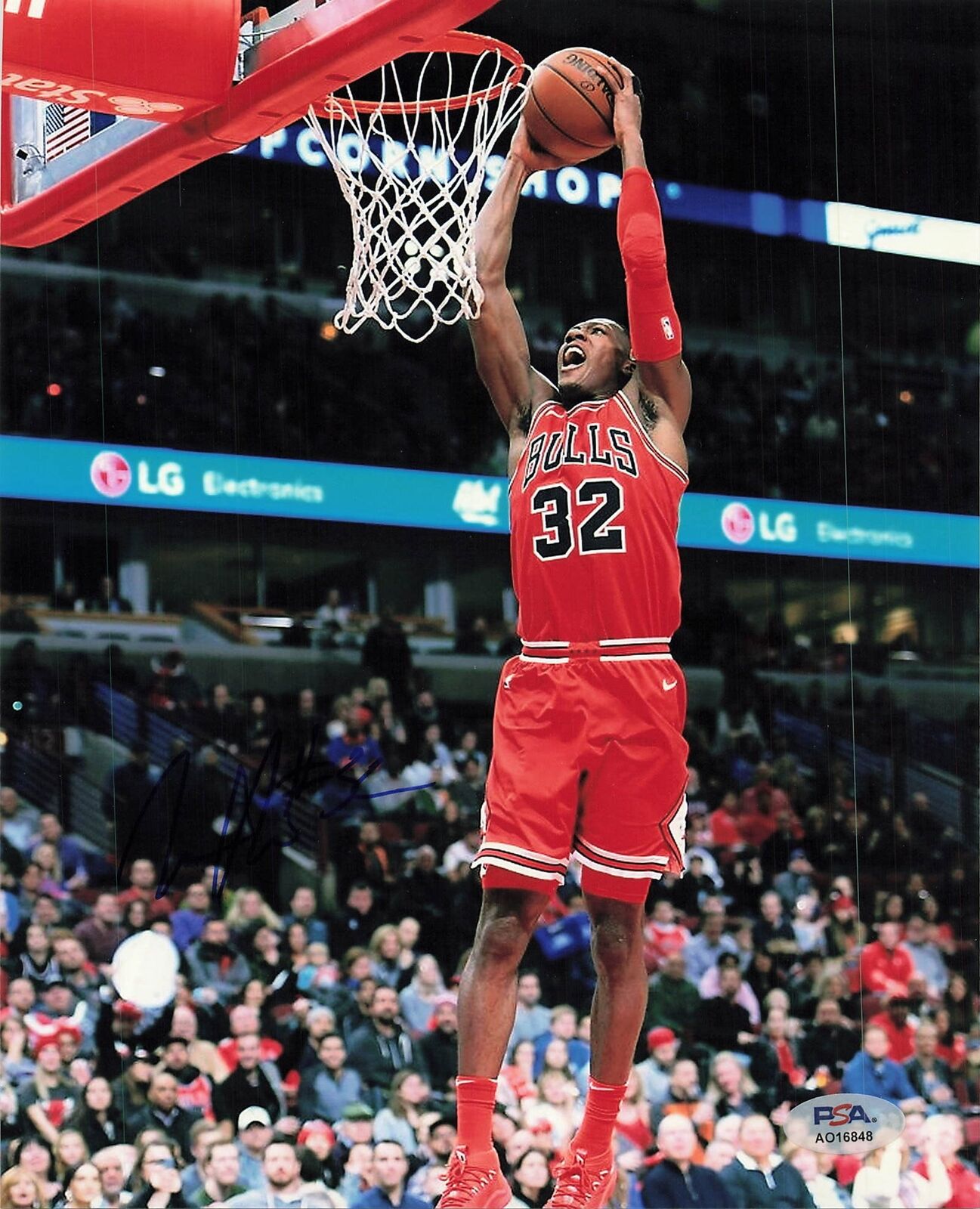 KRIS DUNN signed 8x10 photo PSA/DNA Chicago Bulls Autographed