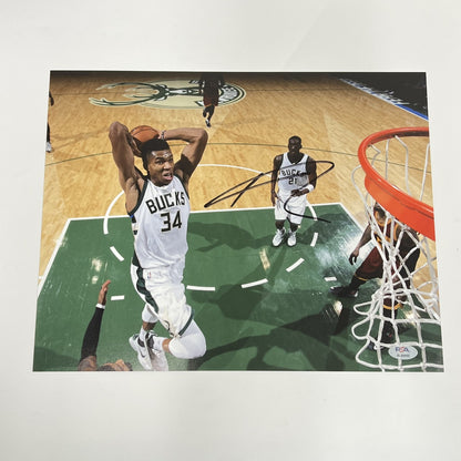Giannis Antetokounmpo 11x14 Signed Photo PSA Milwaukee Brewers