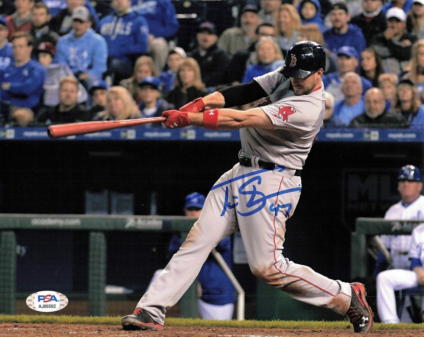 Travis Shaw signed 8x10 photo PSA/DNA Boston Red Sox Autographed