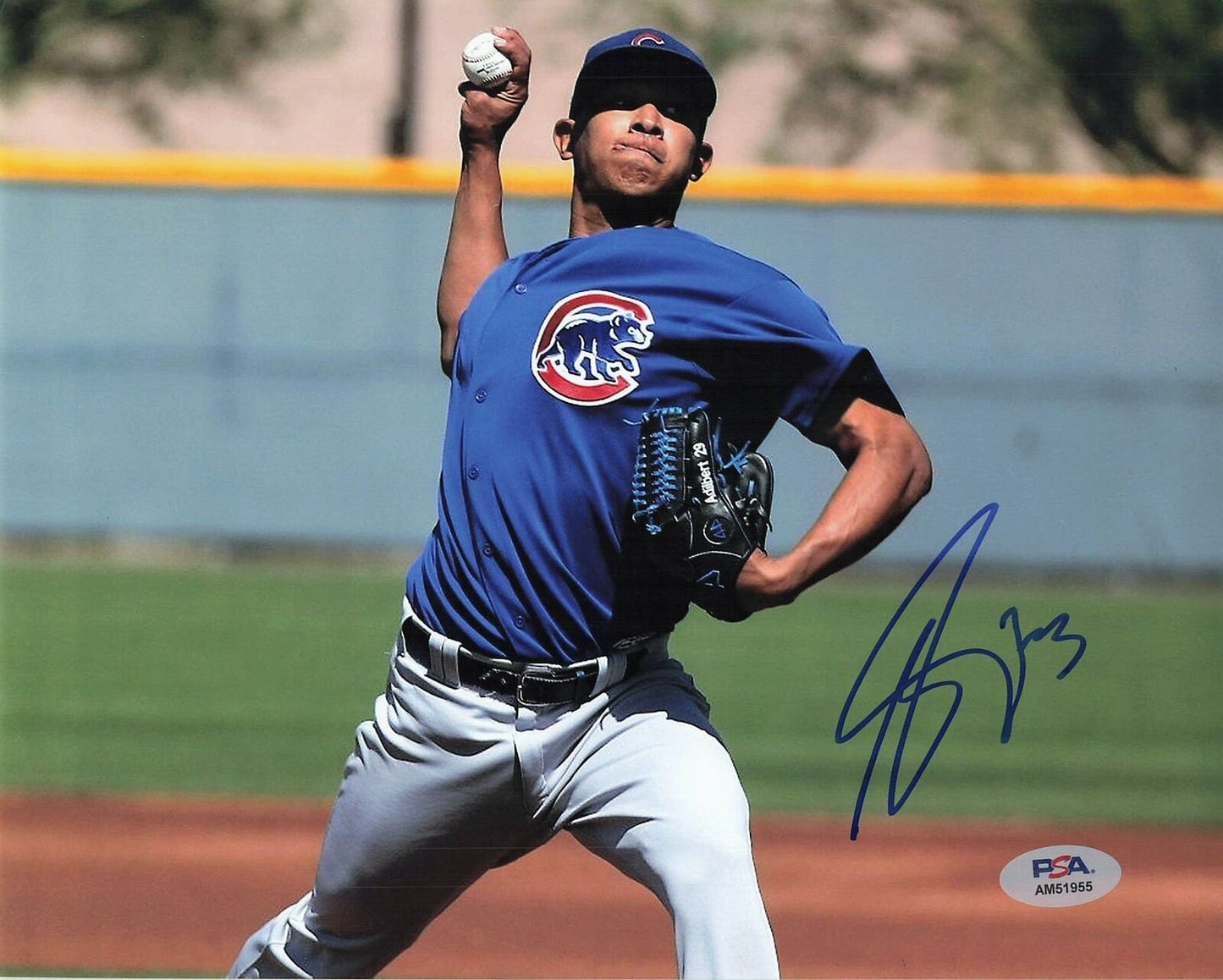 ADBERT ALZOLAY signed 8x10 photo PSA/DNA Chicago Cubs Autographed