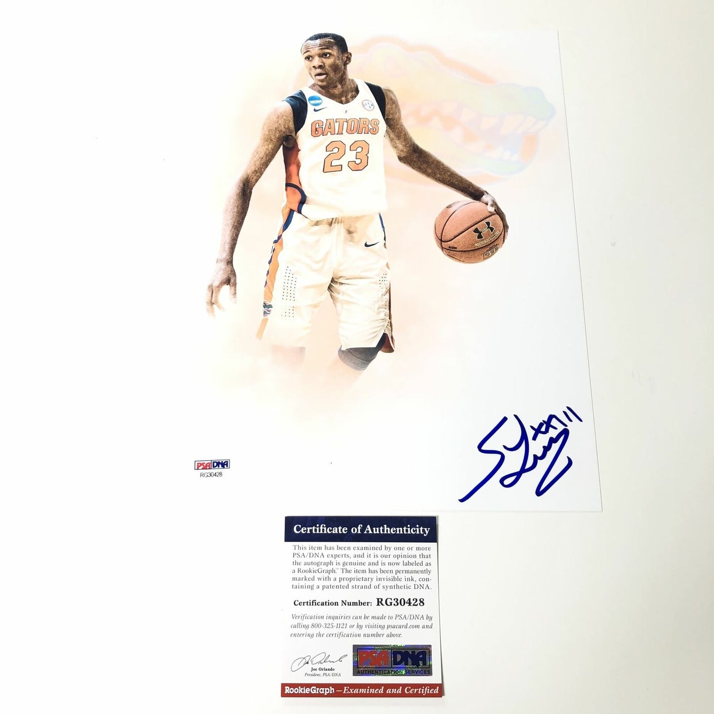 Scottie Lewis Signed 8x10 Photo PSA/DNA Florida Gators Autographed