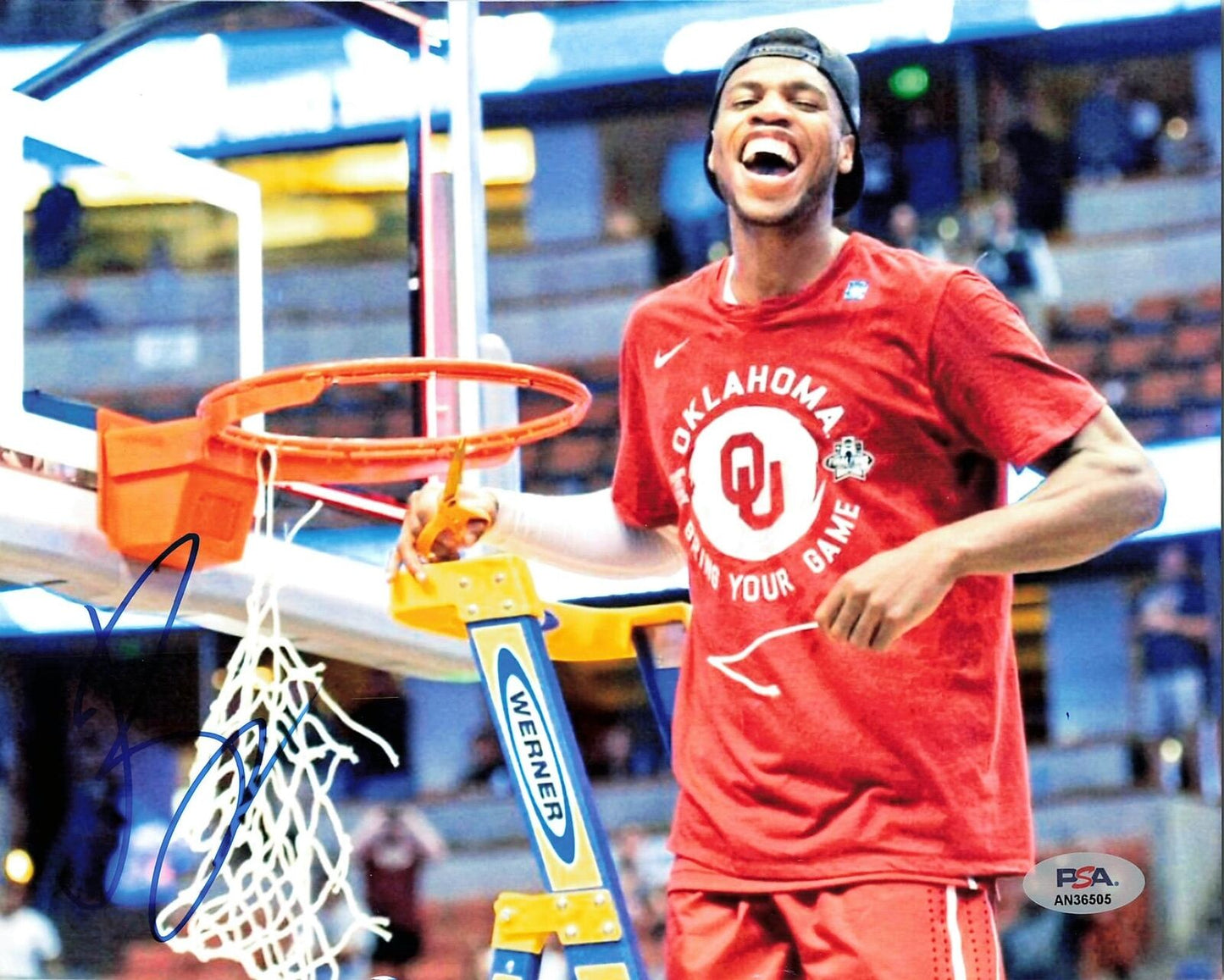 Buddy Hield Signed 8x10 photo PSA/DNA Oklahoma Sooners Autographed Kings