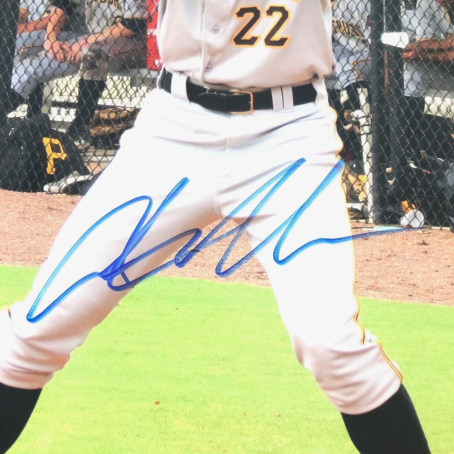 Austin Meadows signed 11x14 photo PSA/DNA Pittsburgh Pirates Autographed