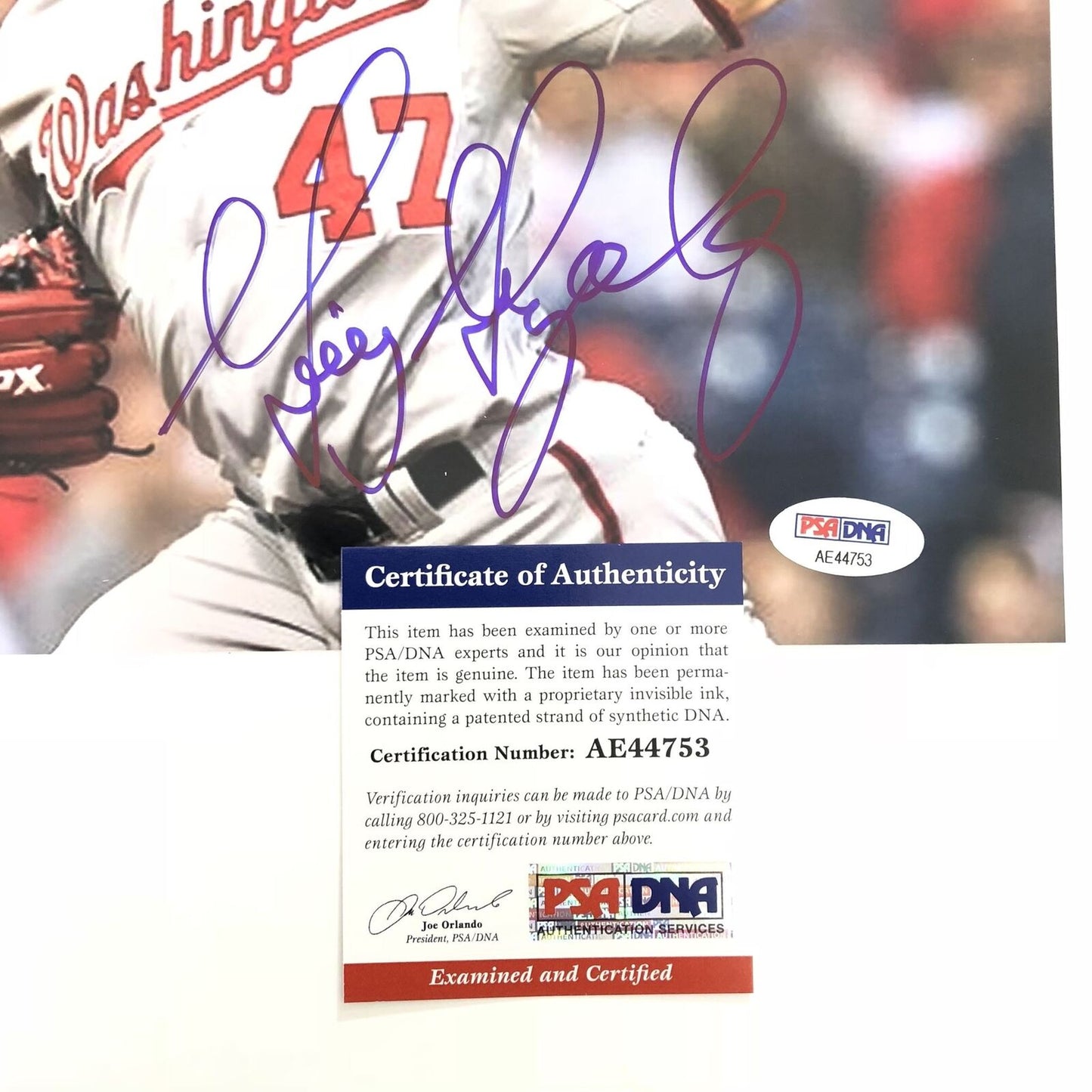 Gio Gonzalez signed 8x10 photo PSA/DNA Washington Nationals Autographed