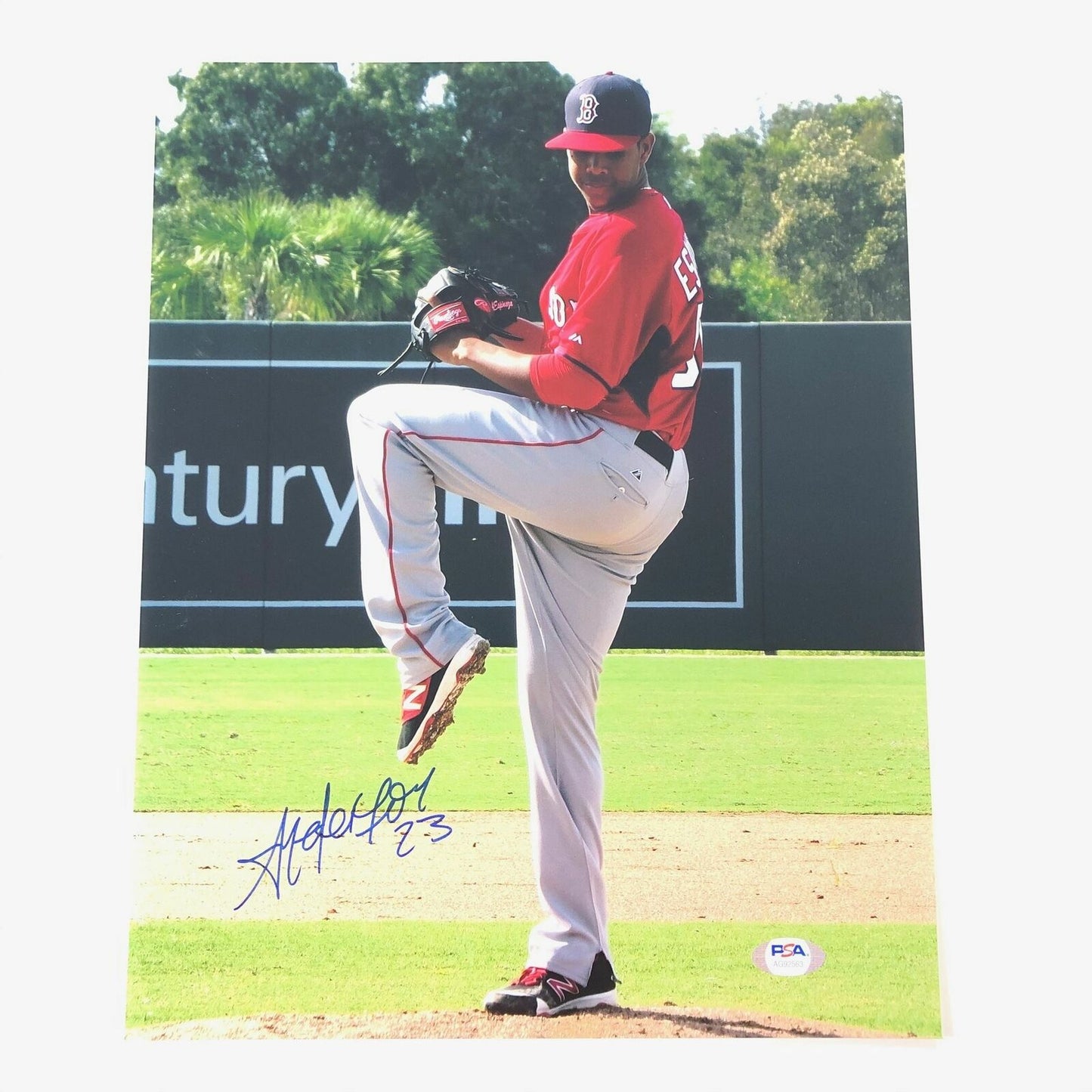 Anderson Espinoza signed 11x14 Photo PSA/DNA Red Sox autographed