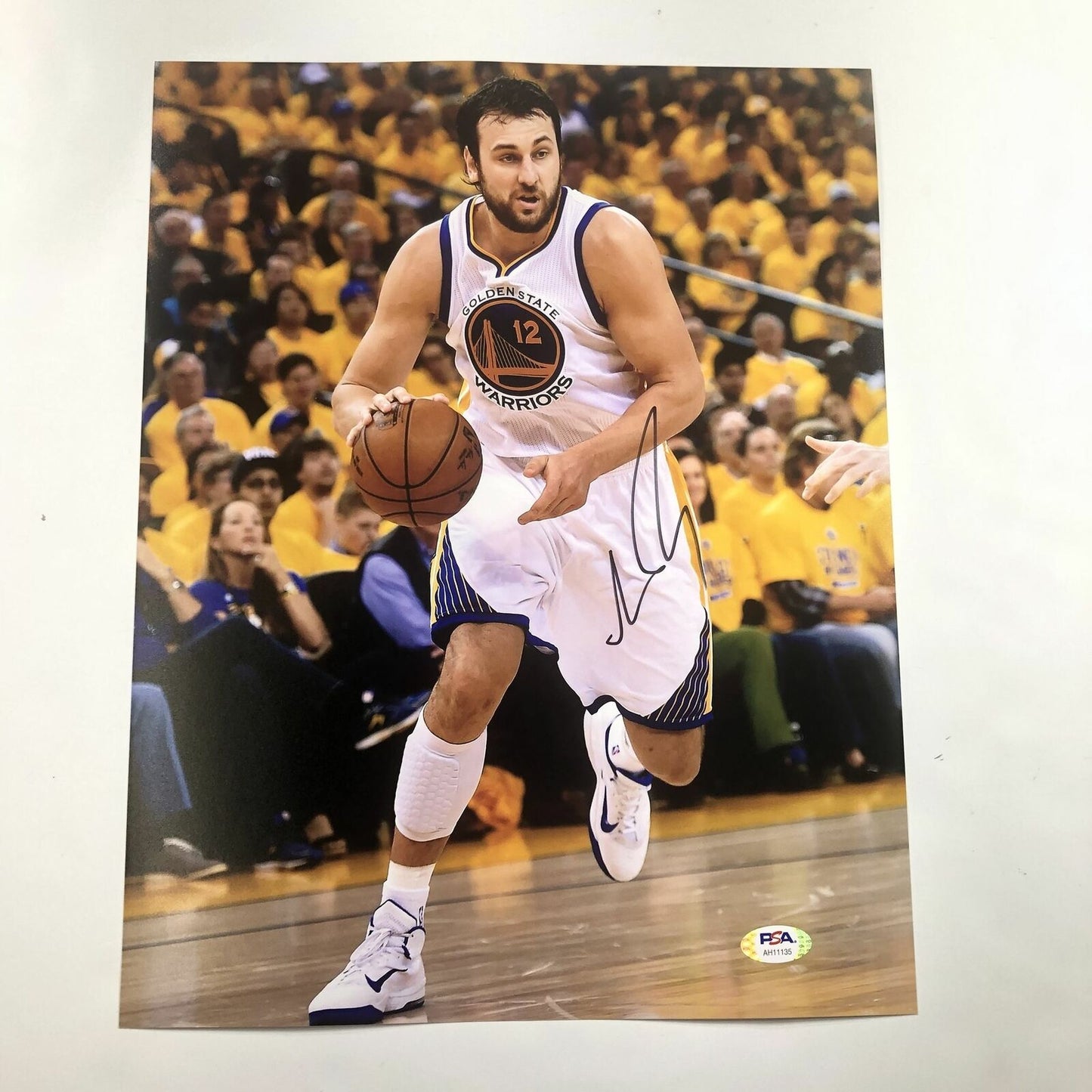 Andrew Bogut signed 11x14 photo PSA/DNA Golden State Warriors Autographed