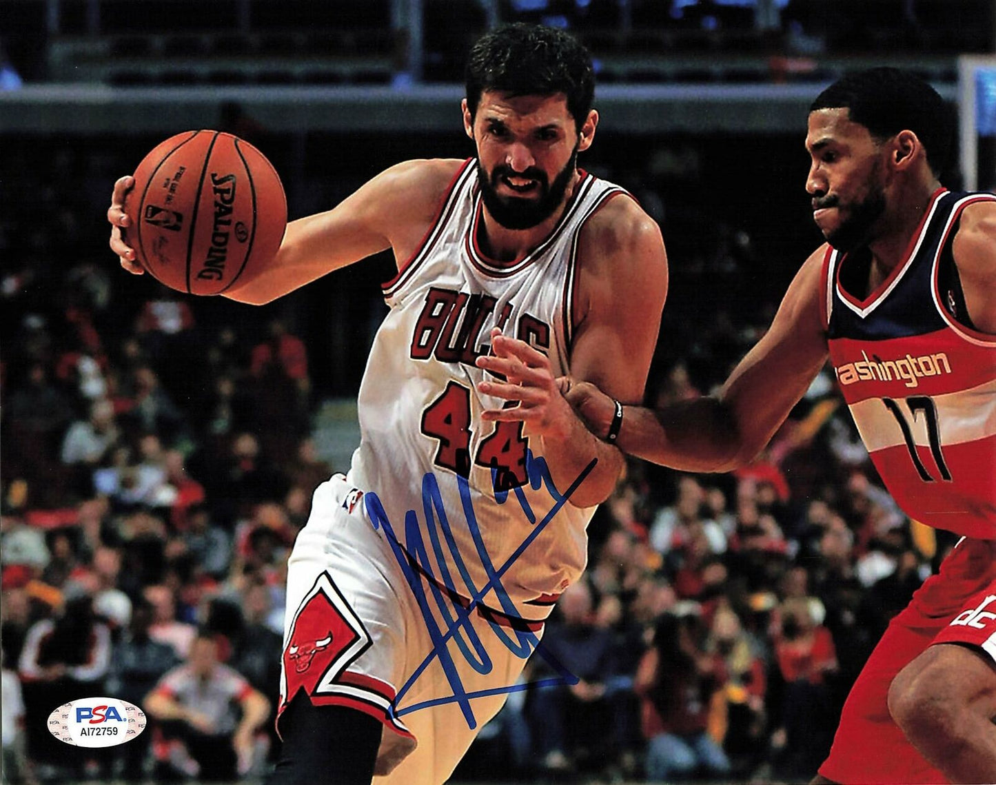 Nikola Mirotic signed 8x10 photo PSA/DNA Chicago Bulls Autographed Bucks