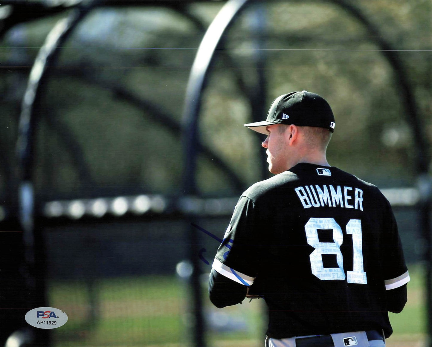 Aaron Bummer Signed 8x10 Photo PSA Chicago White Sox