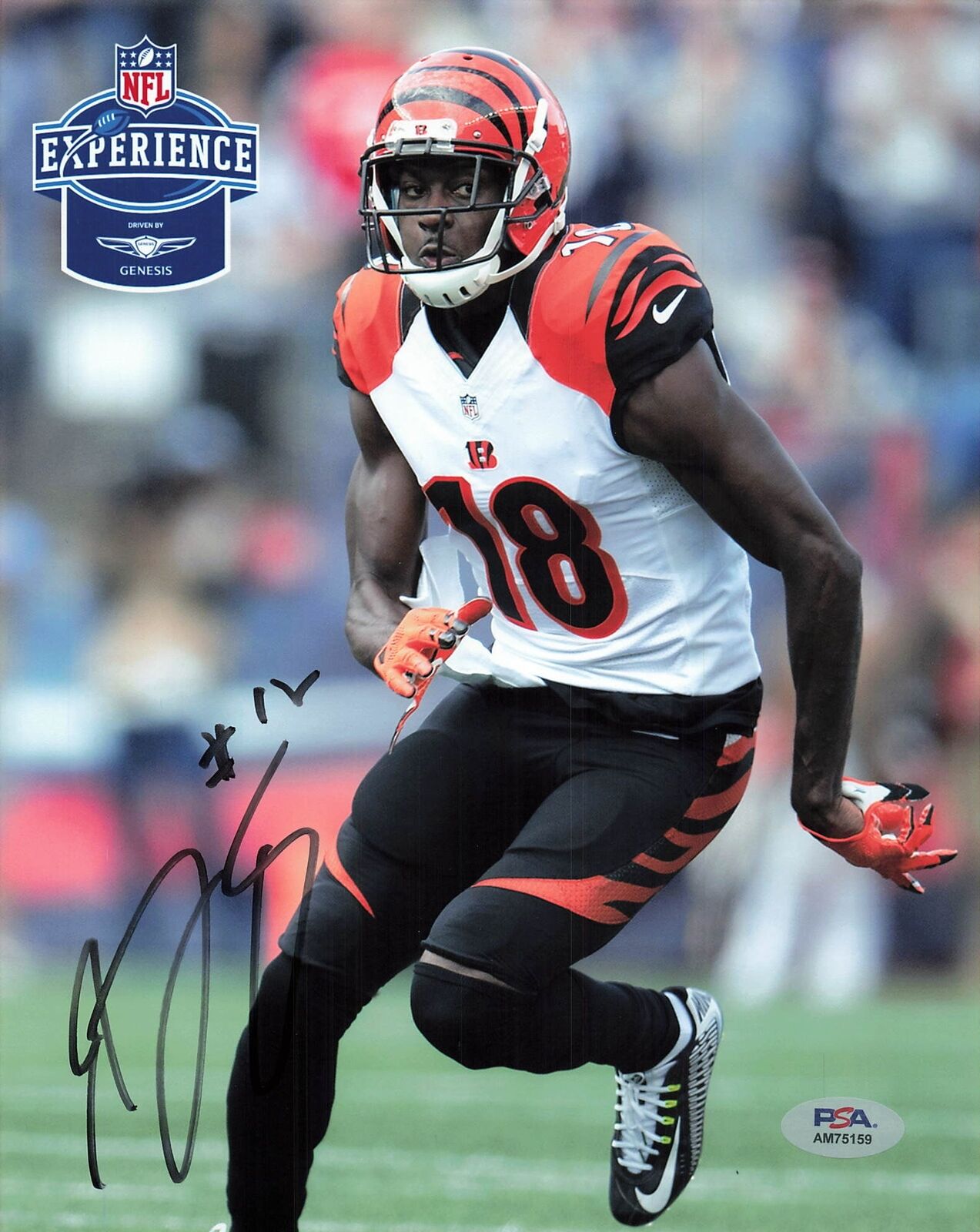 A.J. GREEN signed 8x10 photo PSA/DNA Cincinnati Bengals Autographed