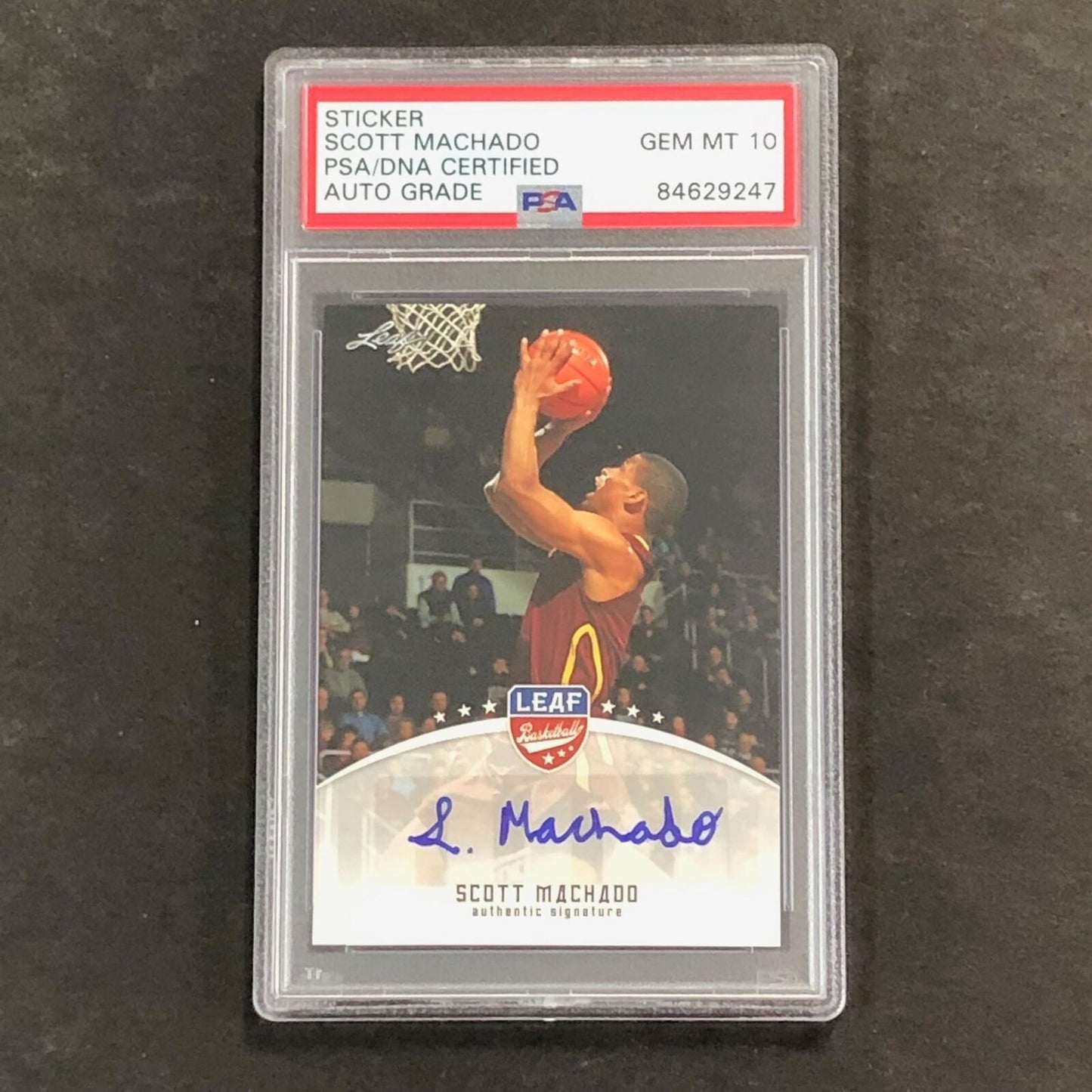 2012-13 Leaf Basketball #SM1 Scott Machado Signed Card AUTO 10 PSA Slabbed Brazi