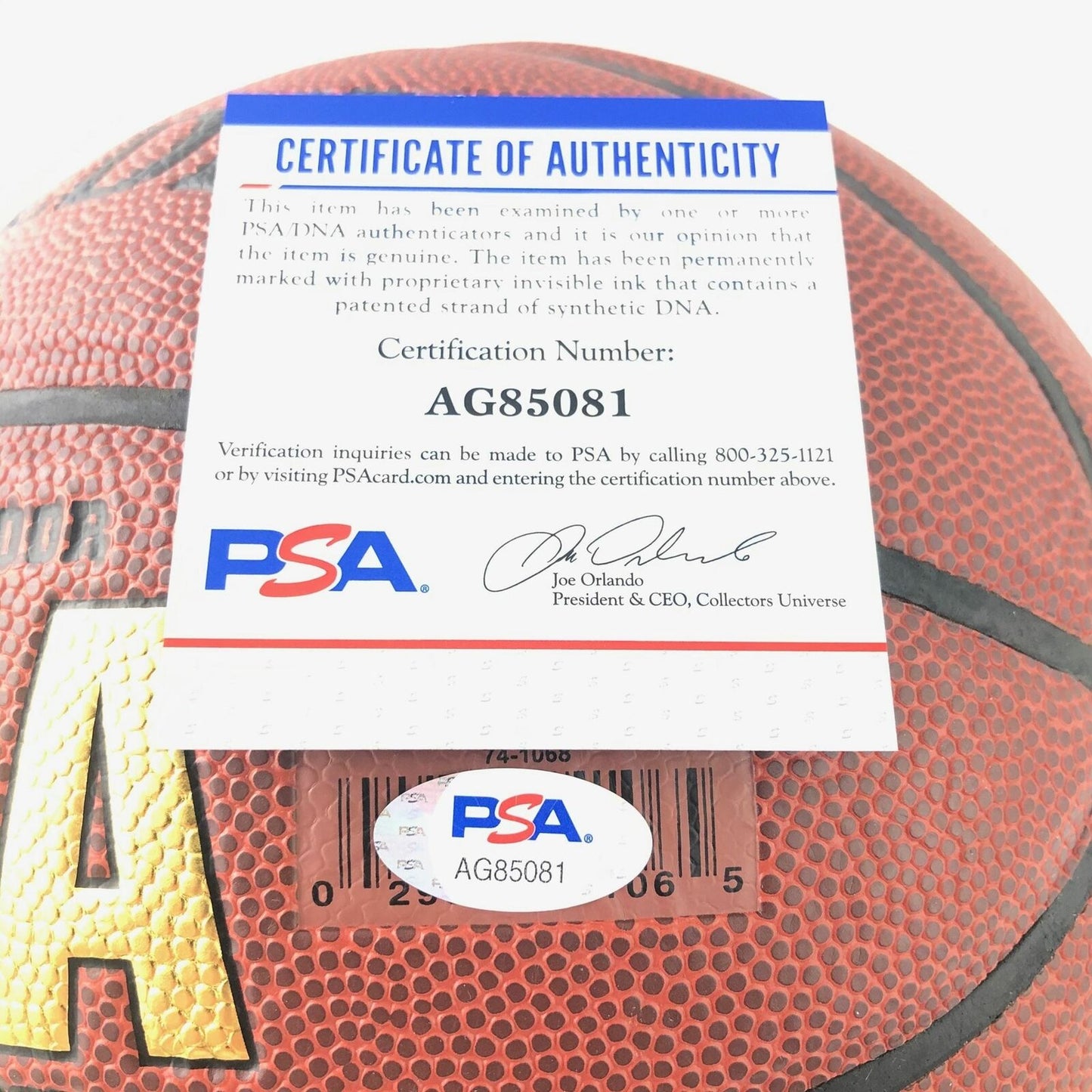 Billy Donovan signed Basketball PSA/DNA Oklahoma City Thunder Autographed