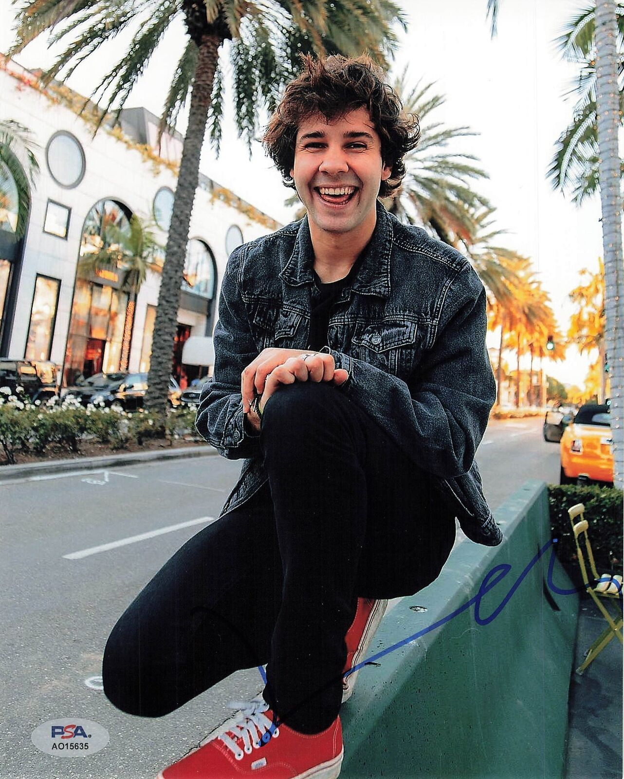 David Dobrik signed 8x10 photo PSA/DNA Autographed