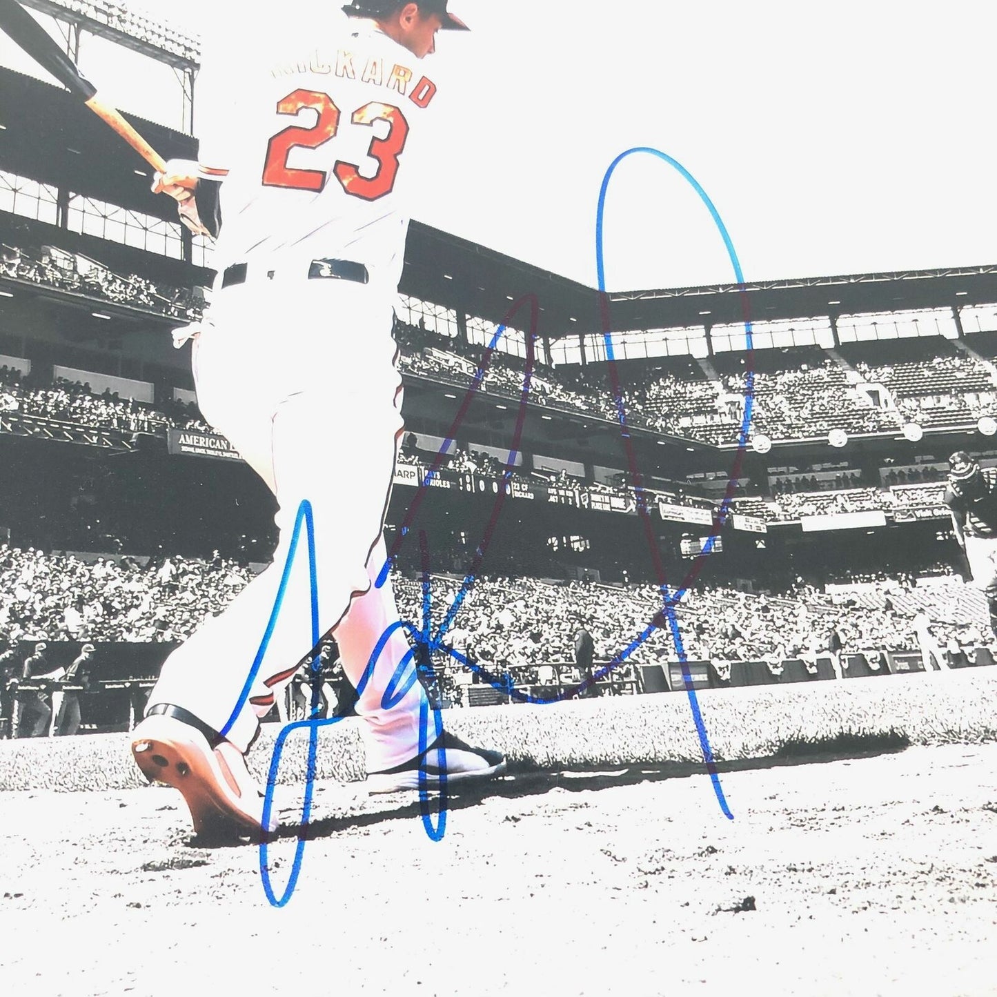 Joey Rickard signed 11x14 photo PSA/DNA Baltimore Orioles Autographed