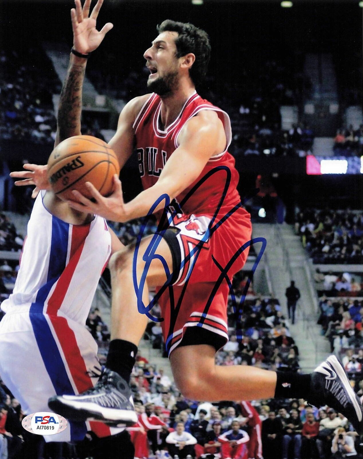 Marco Belinelli signed 8x10 photo PSA/DNA Chicago Bulls Autographed