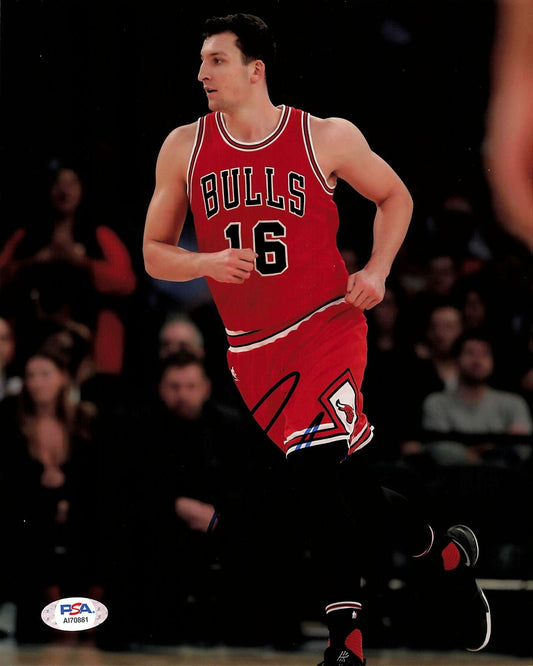 PAUL ZIPSER signed 8x10 photo PSA/DNA Chicago Bulls Autographed