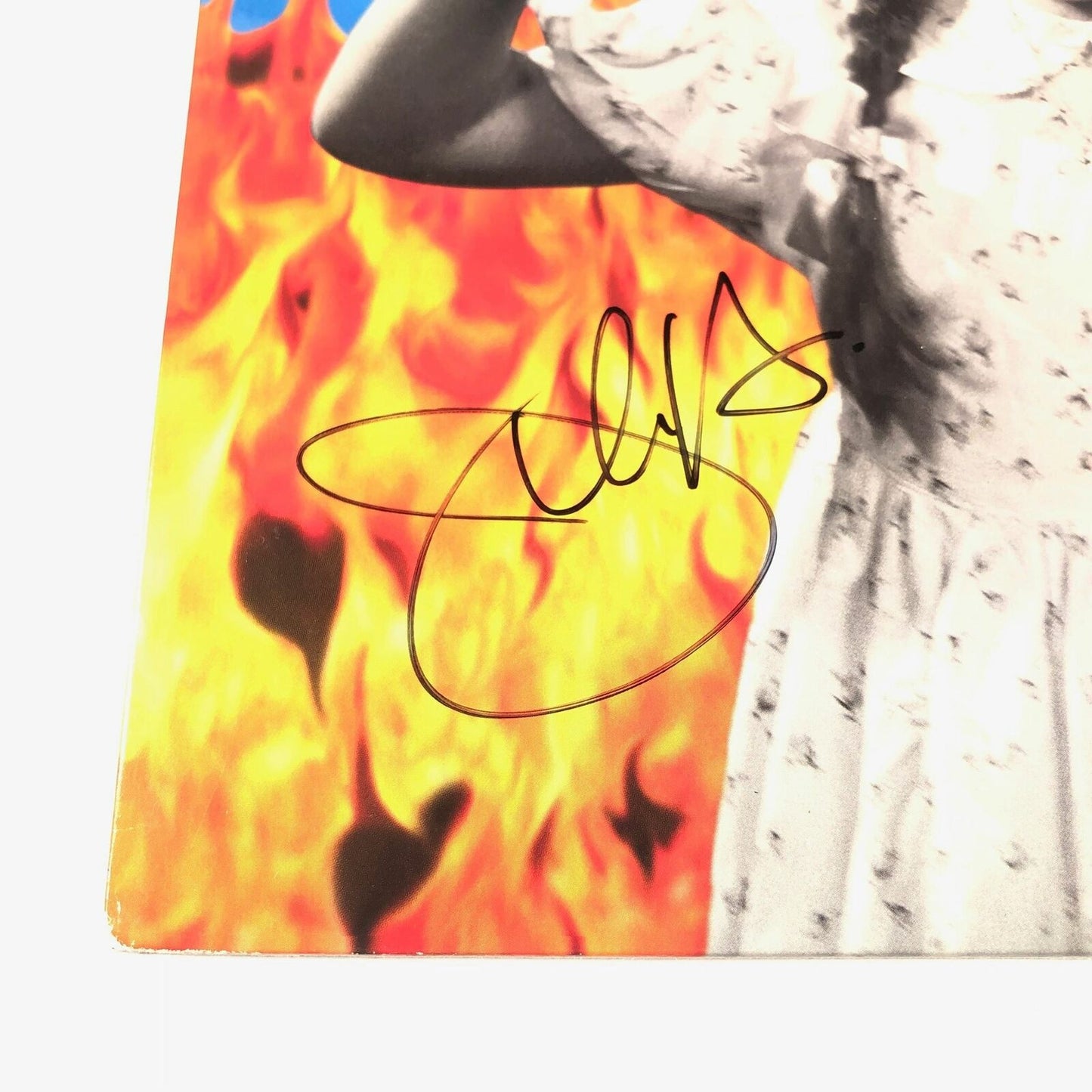 The Nixons Signed FOMA Vinyl Cover PSA/DNA Autographed