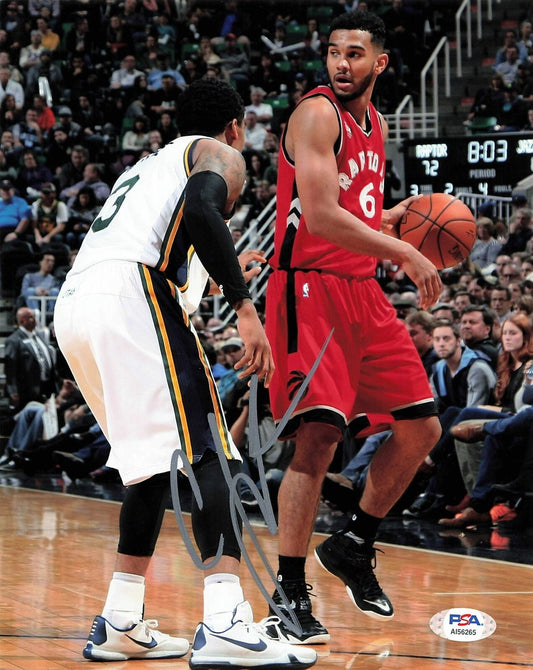 Corey Joseph signed 8x10 photo PSA/DNA Toronto Raptors Autographed