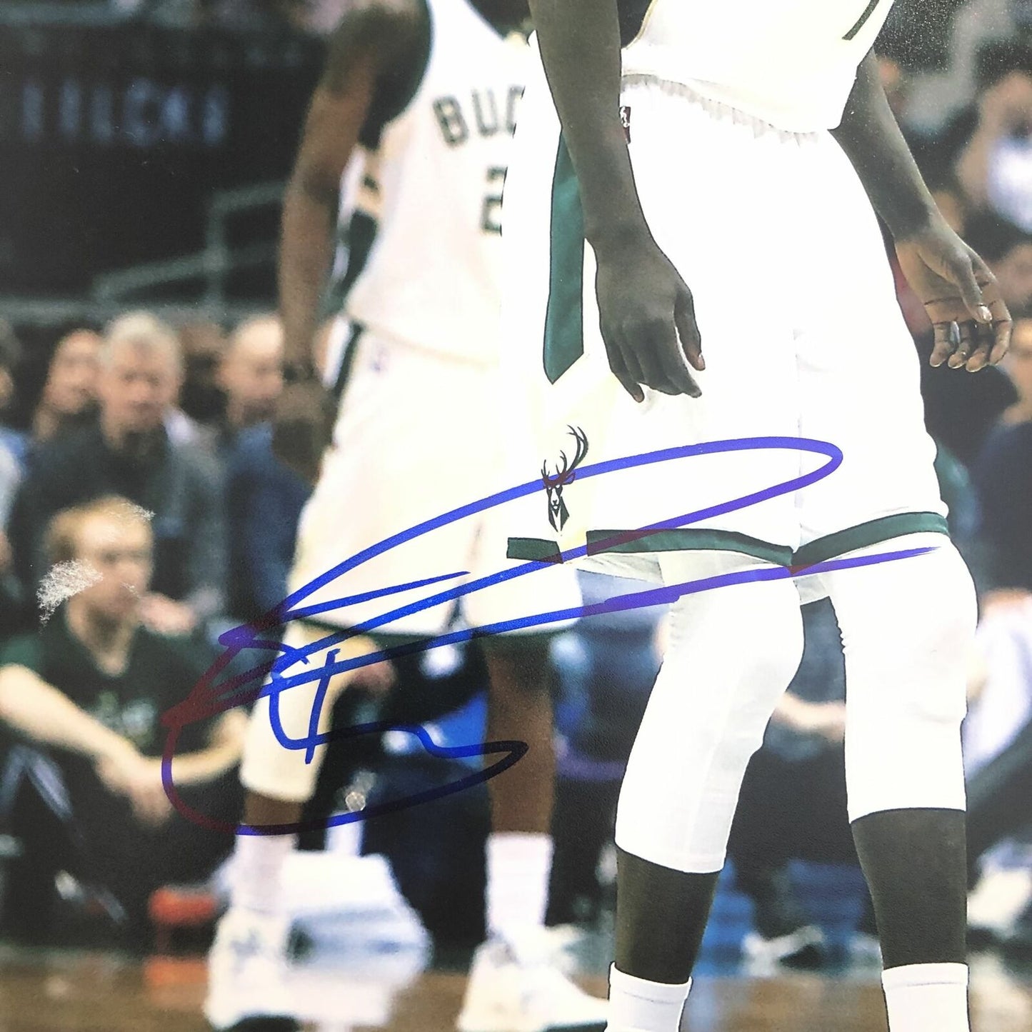 Matthew Dellavedova Thon Maker 11x14 photo PSA/DNA Bucks Autographed