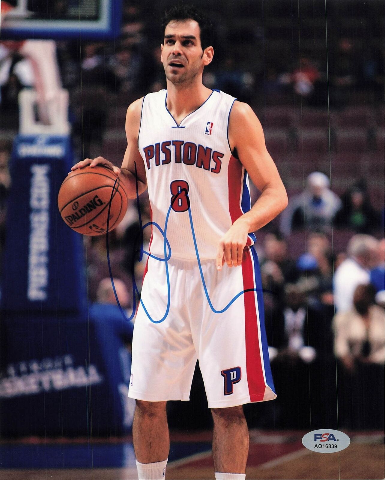 Jose Calderon signed 8x10 photo PSA/DNA Detroit Pistons Autographed