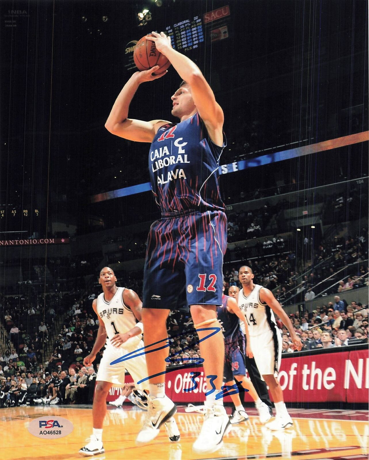 Mirza Teletovic signed 8x10 photo PSA/DNA Autographed NBA