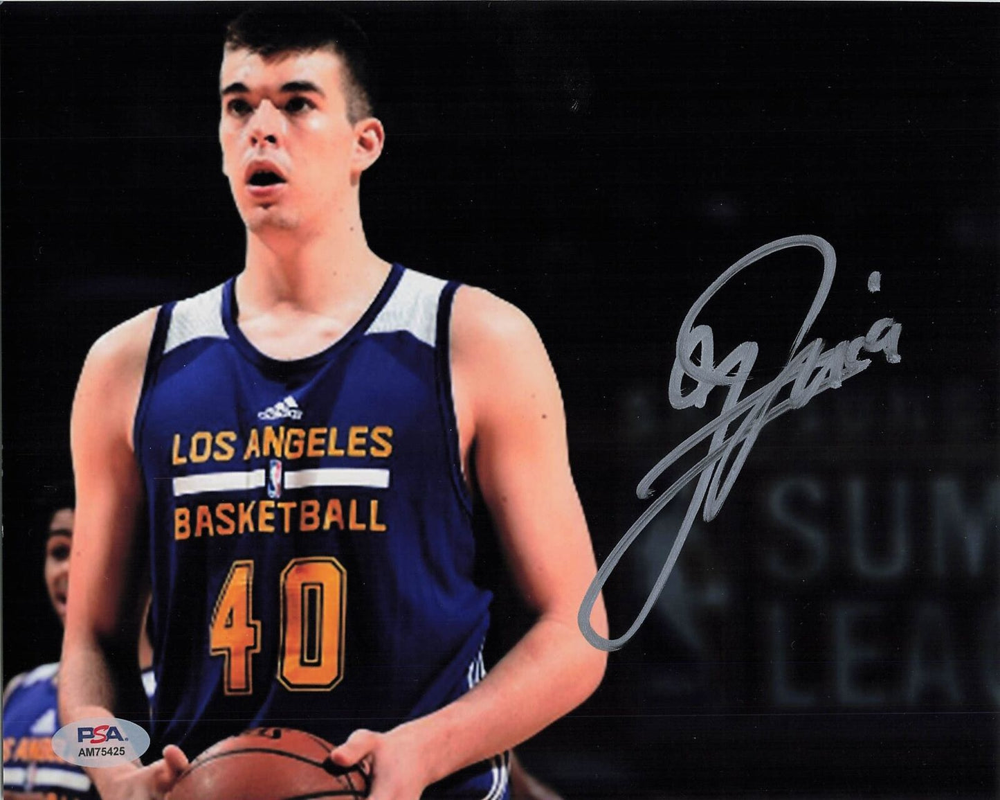 Ivica Zubac signed 8x10  photo PSA/DNA  Los Angeles Clippers Autographed