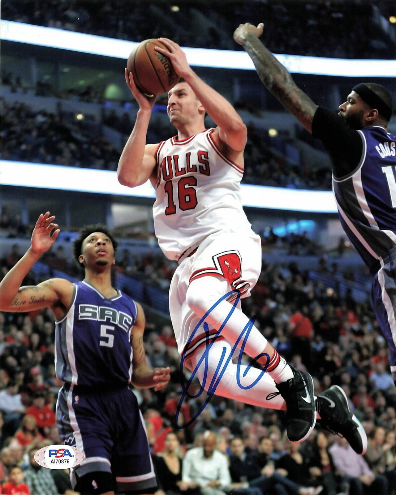 PAUL ZIPSER signed 8x10 photo PSA/DNA Chicago Bulls Autographed