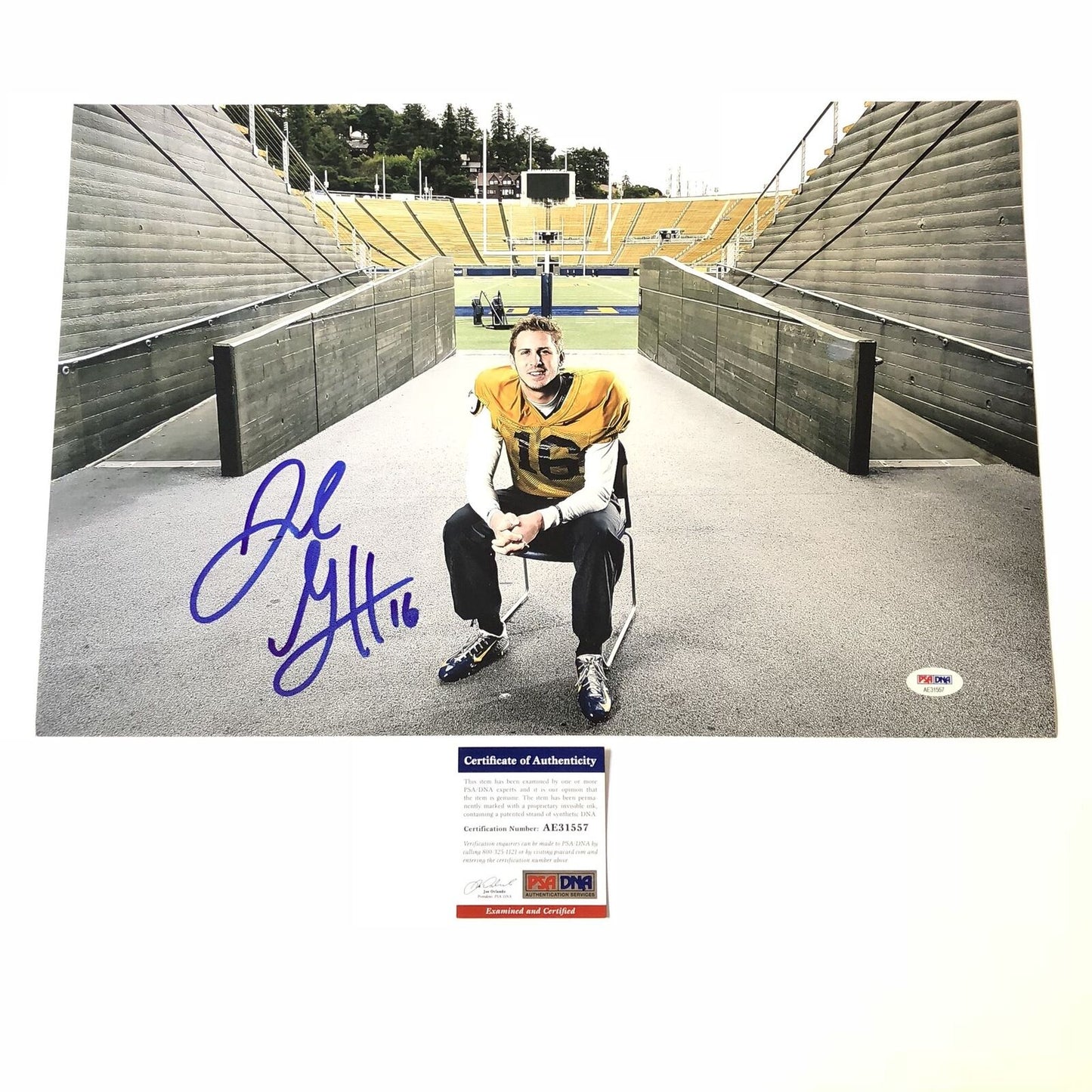 Jared Goff signed 12x18 photo PSA/DNA Los Angeles Rams Autographed