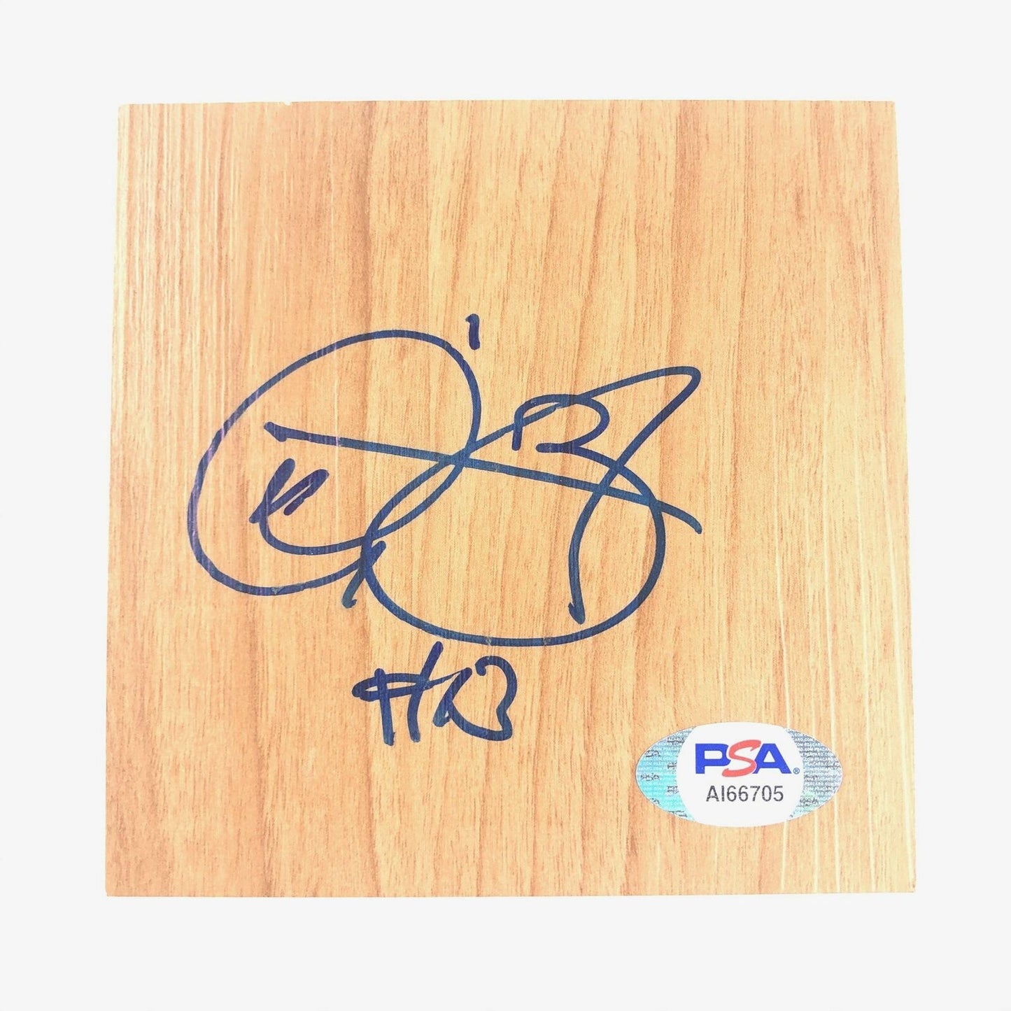 Dwight Buycks Signed Floorboard PSA/DNA Toronto Raptors Autographed