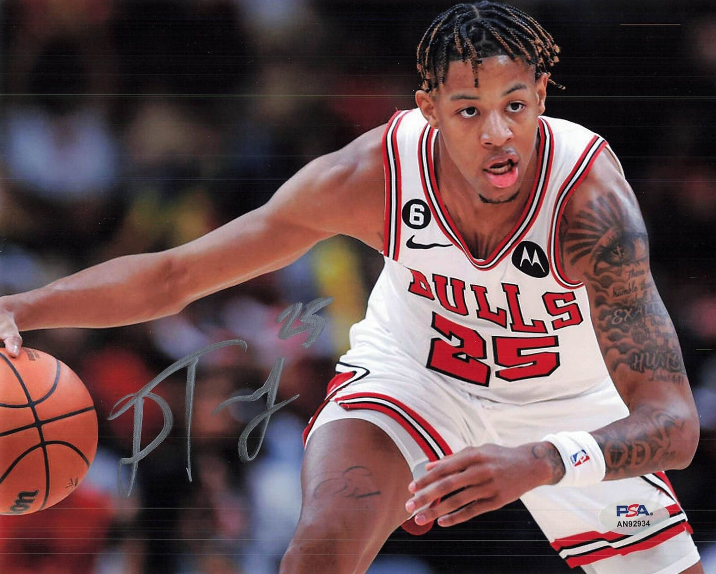 DALEN TERRY signed 8x10 Photo PSA/DNA Chicago Bulls