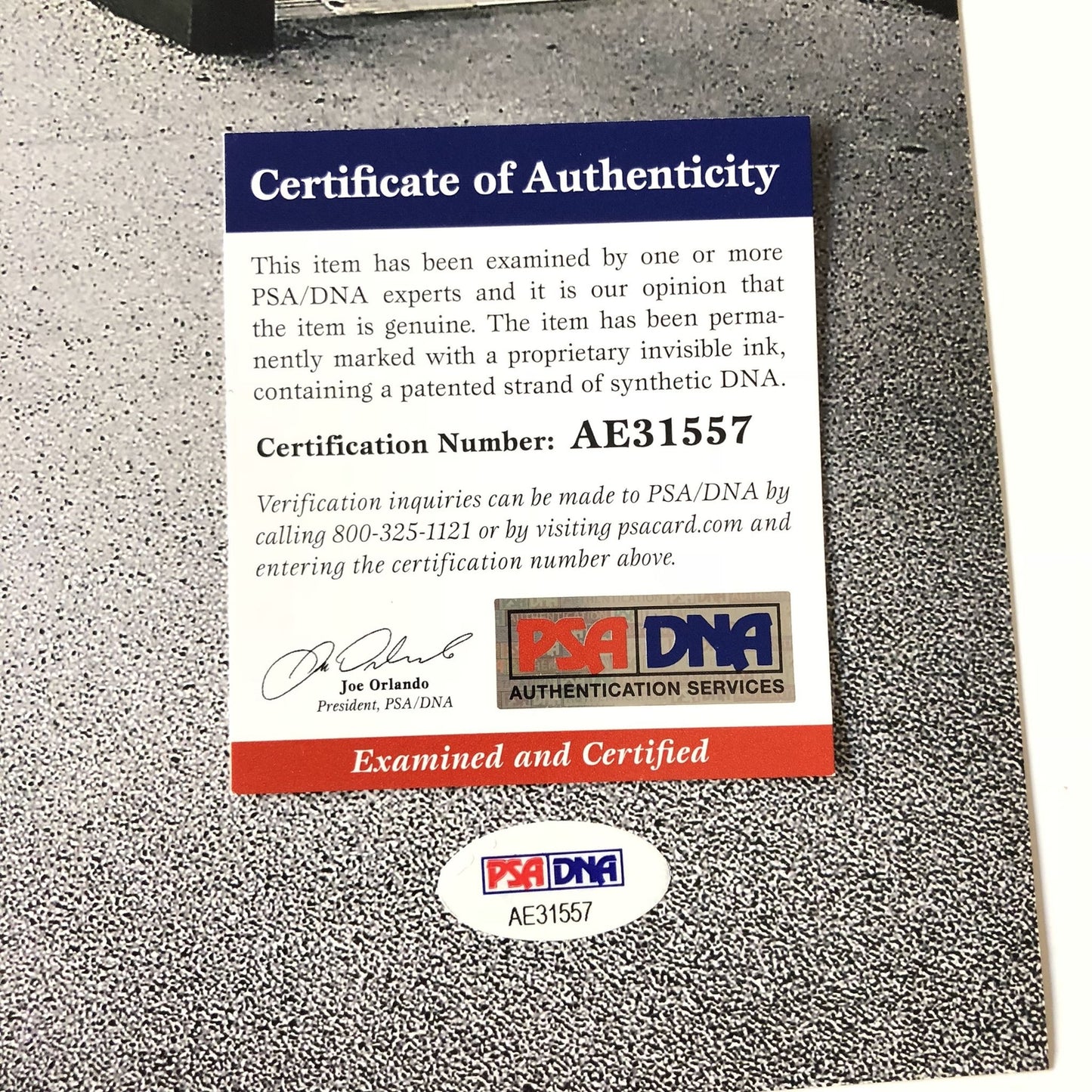 Jared Goff signed 12x18 photo PSA/DNA Los Angeles Rams Autographed