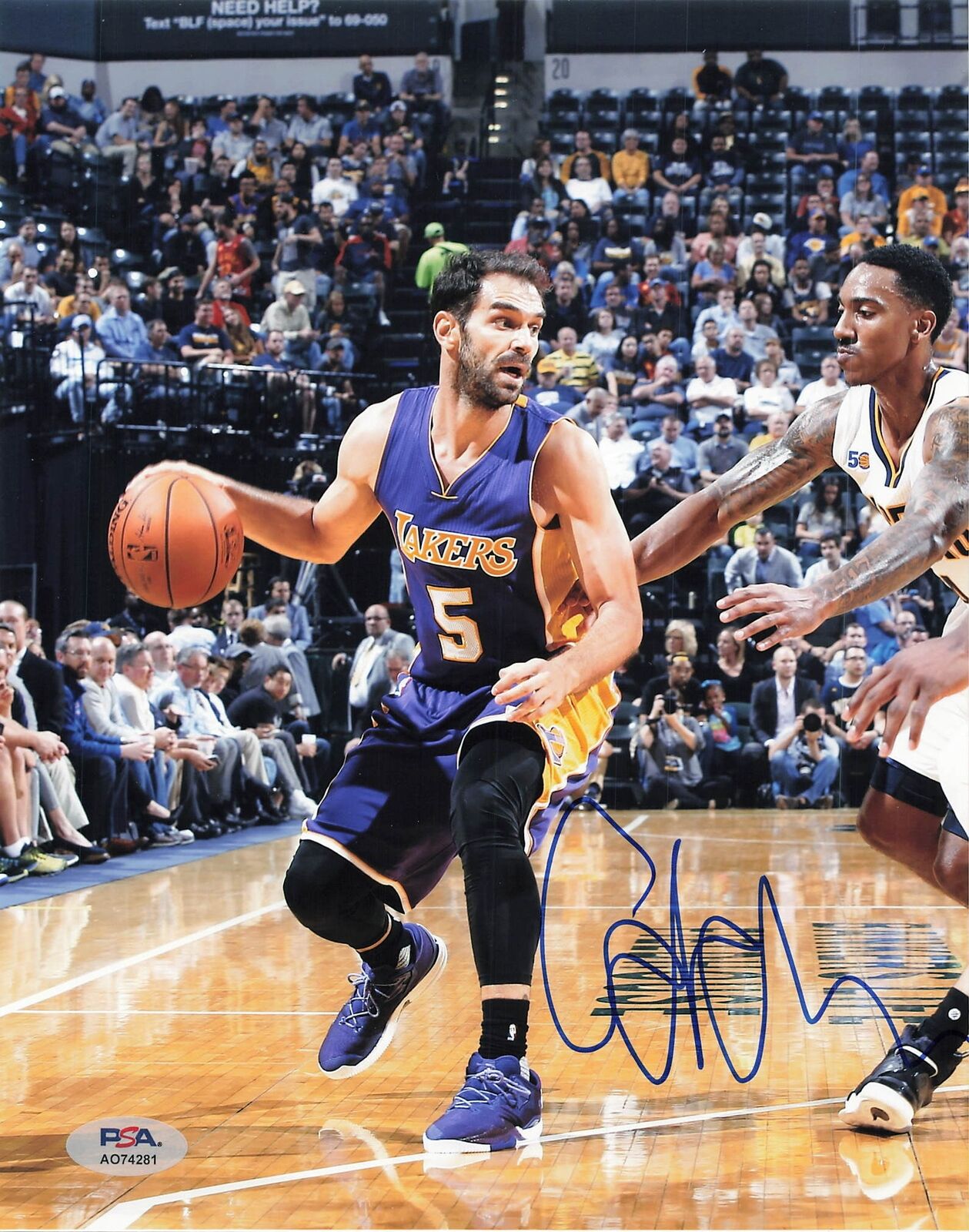 Jose Calderon signed 8x10 photo PSA/DNA Los Angeles Lakers Autographed