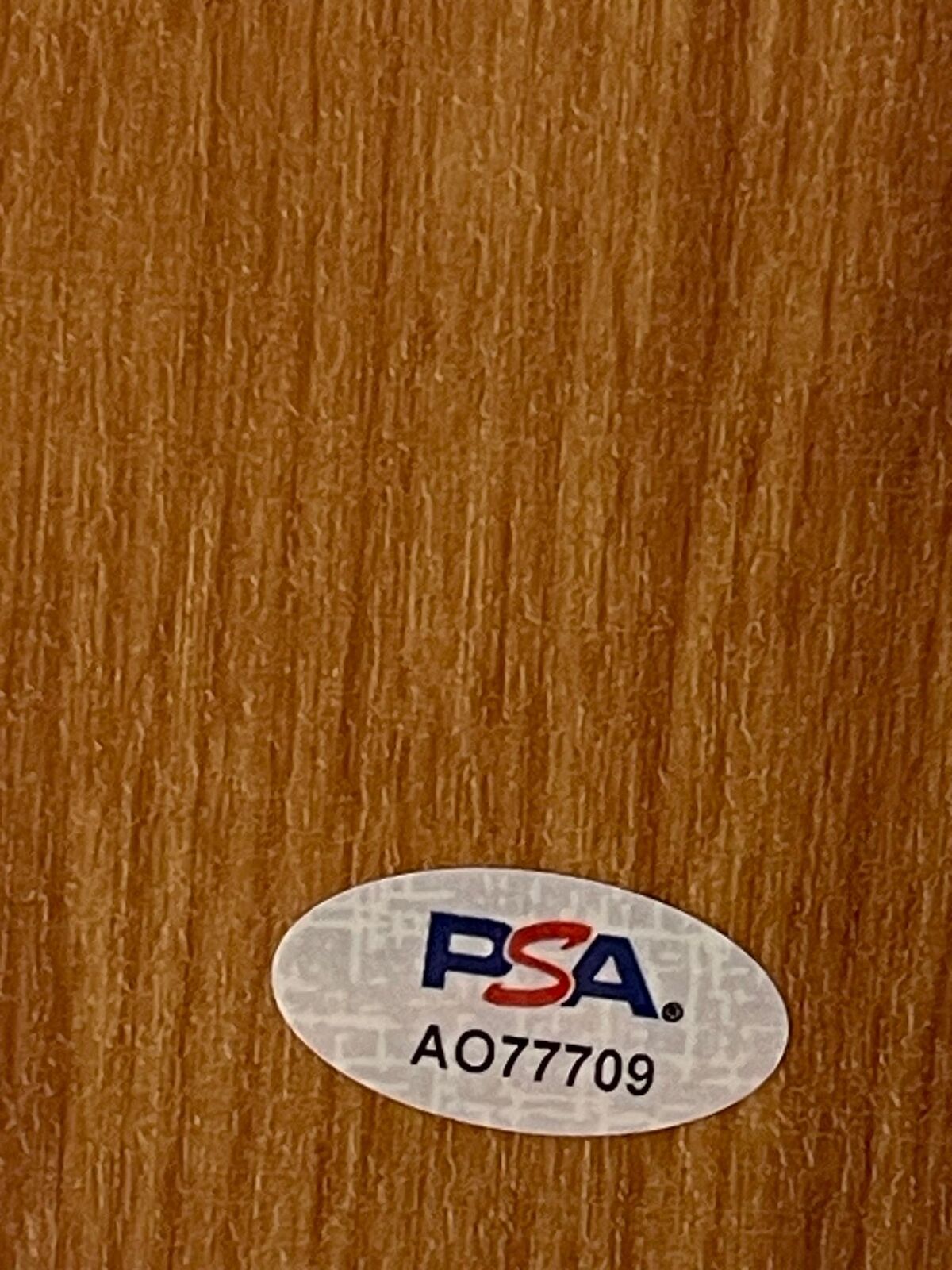 Boban Marjanovic Signed Floorboard PSA/DNA Autographed