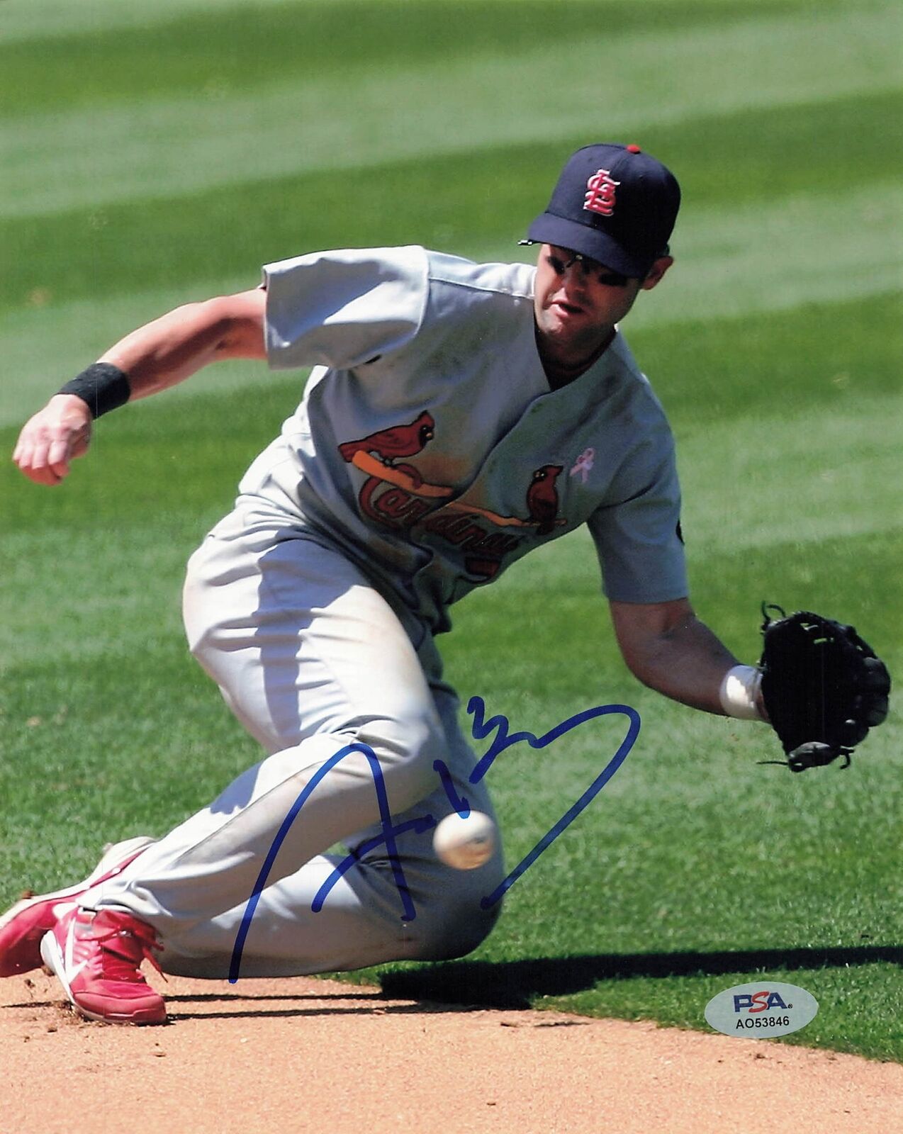 Adam Kennedy signed 8x10 photo PSA/DNA St. Louis Cardinals Autographed