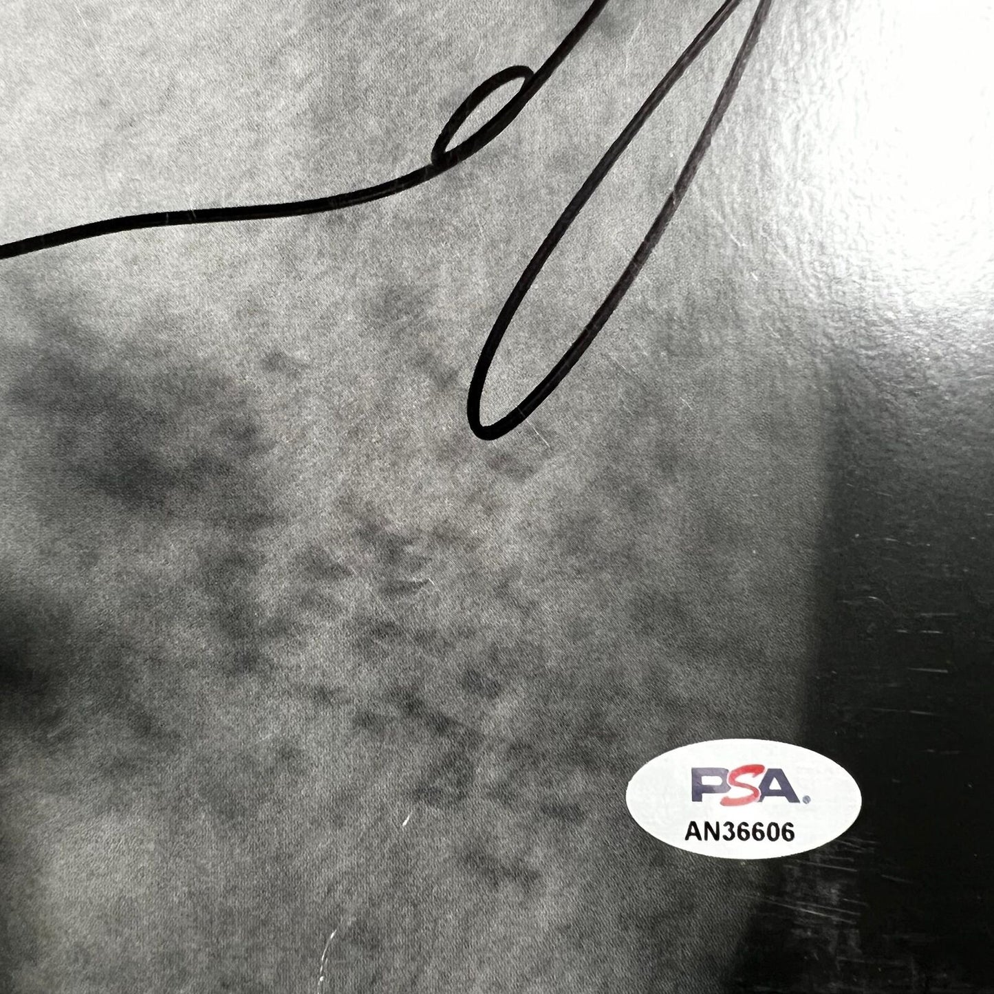 Dermot Kennedy Signed Vinyl Insert PSA/DNA Autographed