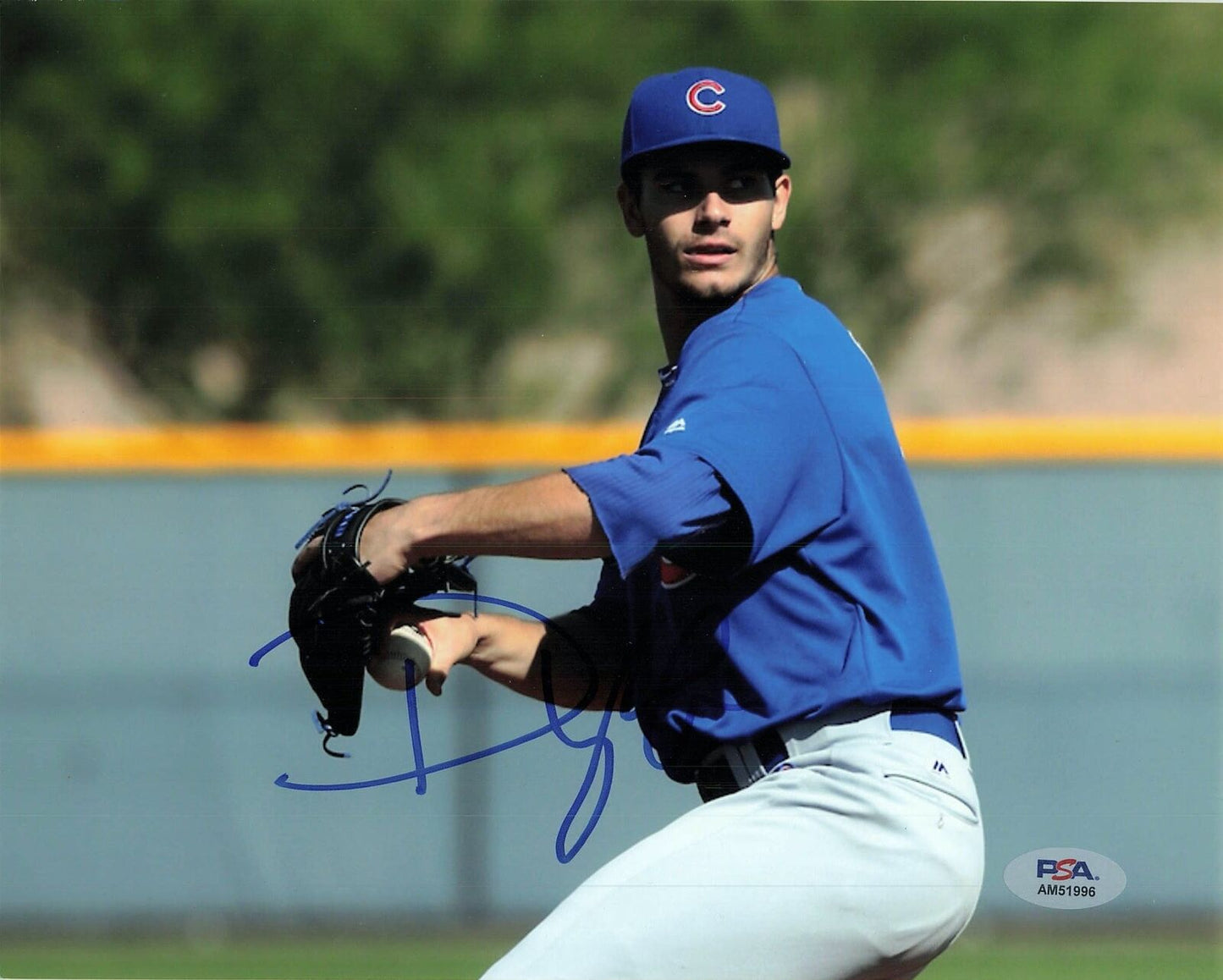 Dylan Cease signed 8x10 photo PSA/DNA Chicago Cubs Autographed