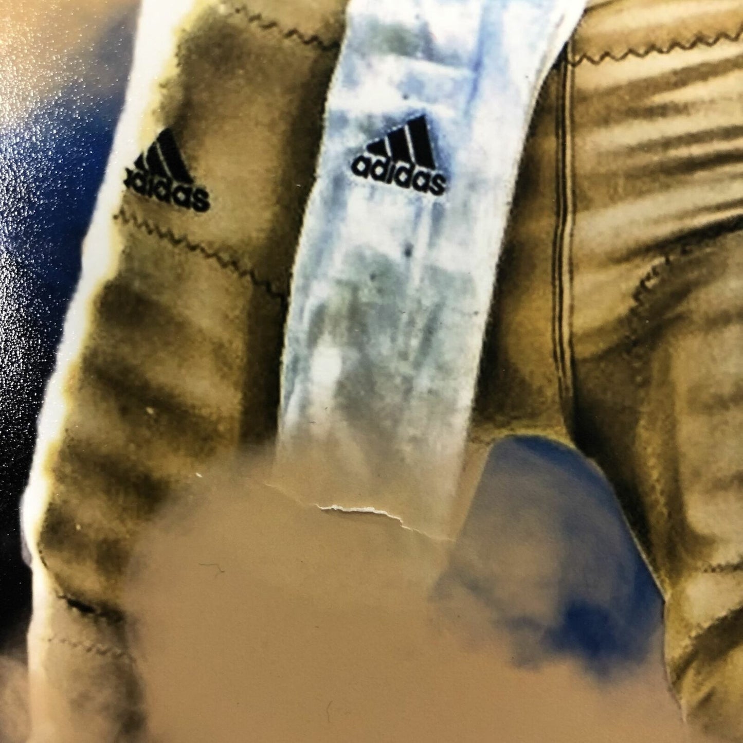 Josh Rosen signed 11x14 photo PSA/DNA UCLA Bruins Miami Dolphins Autographed