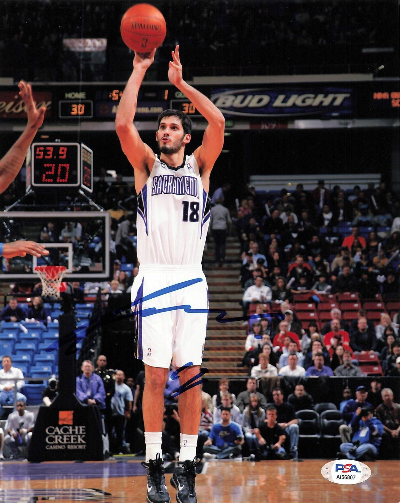 Omri Casspi signed 8x10 photo PSA/DNA Sacramento Kings Autographed