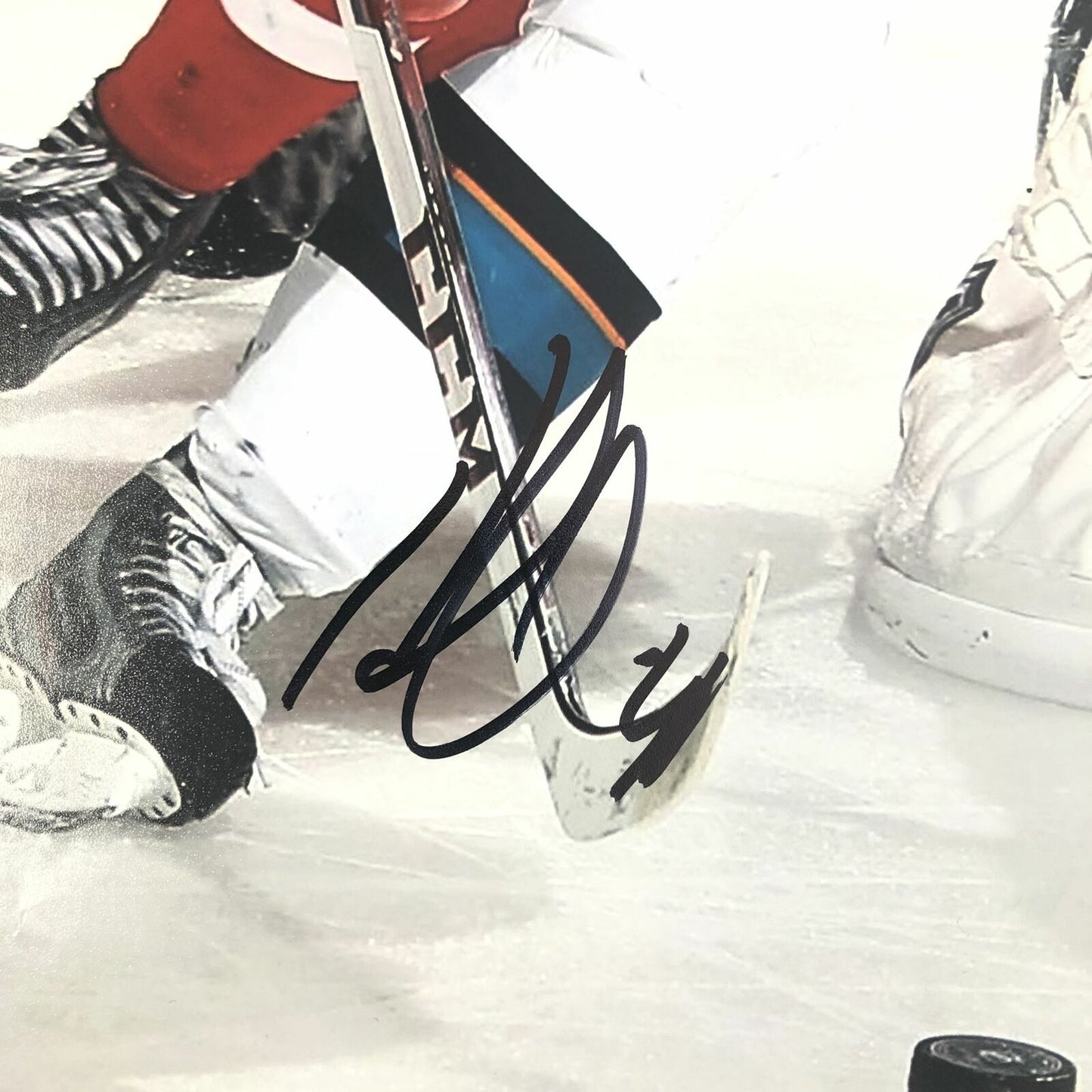 Tomas Hertl signed 11x14 photo PSA/DNA San Jose Sharks Autographed