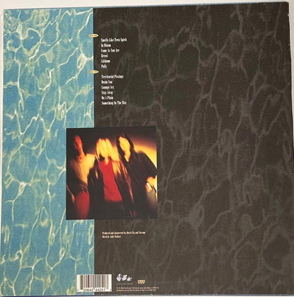 Krist Novoselic Signed Nirvana LP Vinyl PSA/DNA Album autographed Nevermind