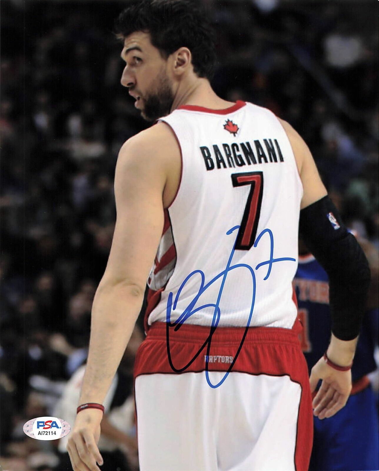 ANDREA BARGNANI signed 8x10 photo PSA/DNA Toronto Raptors Autographed